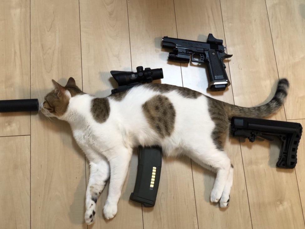 Cat Gun +25 Dmg +25 accuracy +50 Range 50 ammo