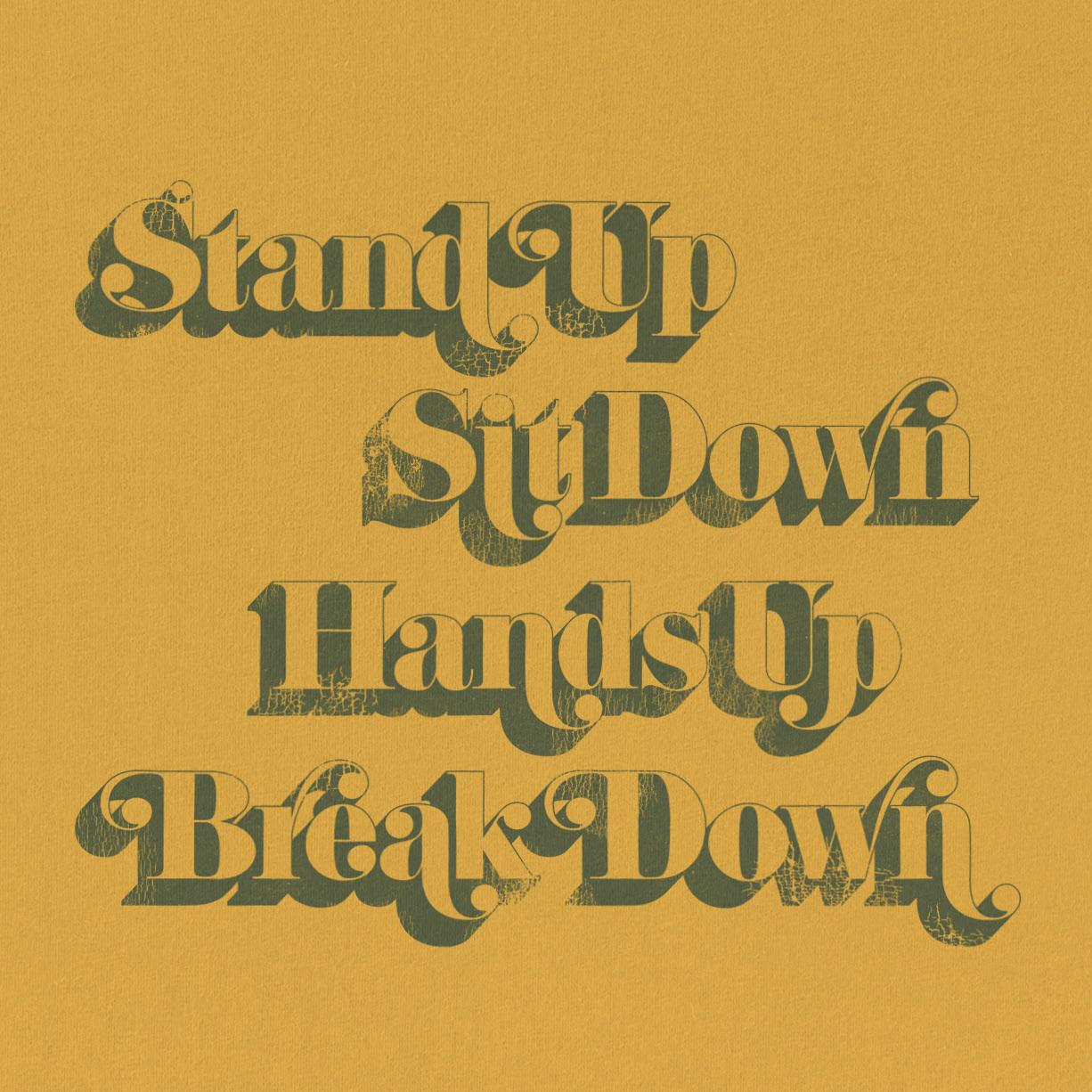 I designed a tshirt with lyrics from “Pay Your Way in Pain”. AnnieClark