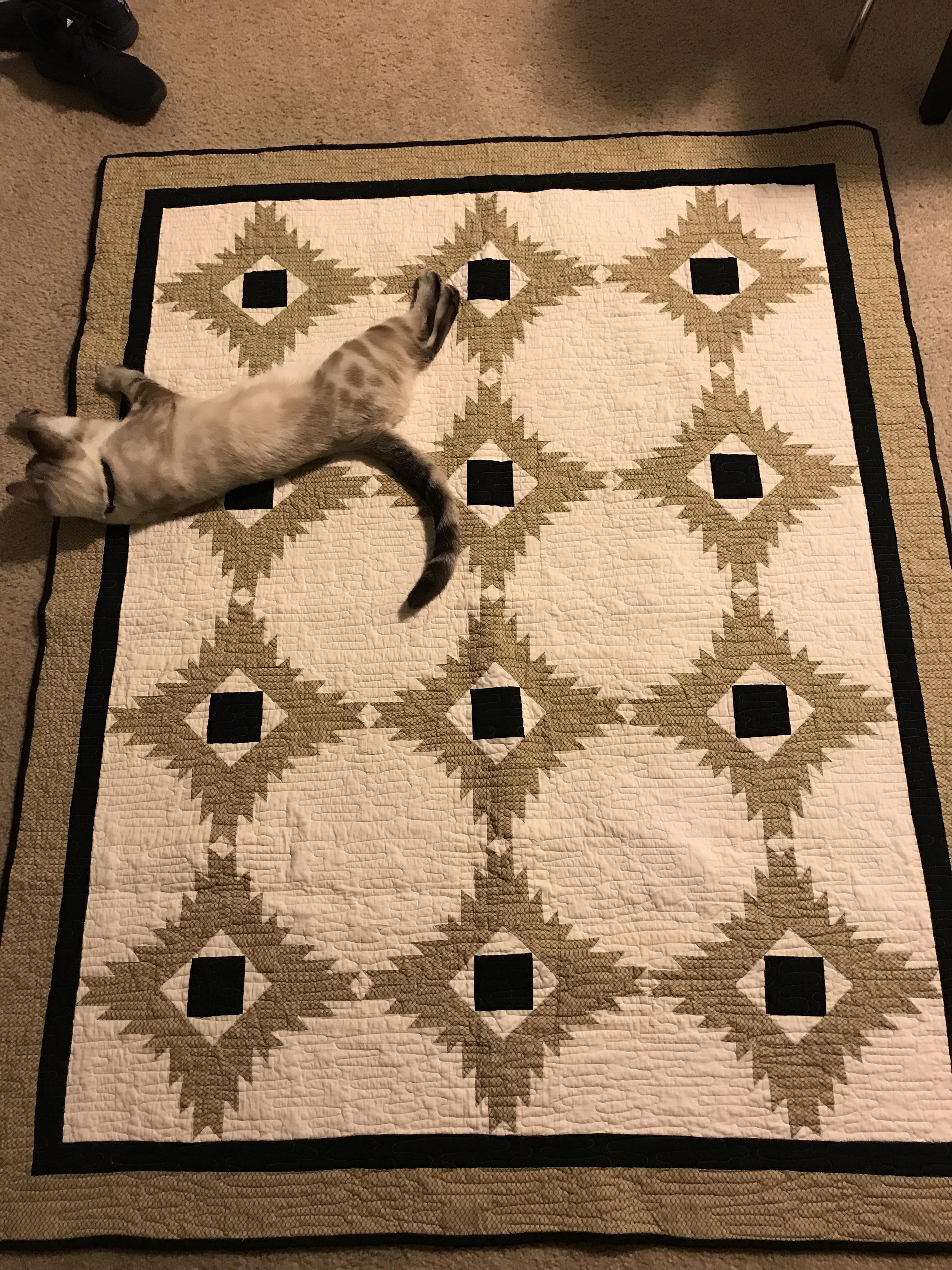 Dug my first 'real quilt' out of the closet, and now my friend wants