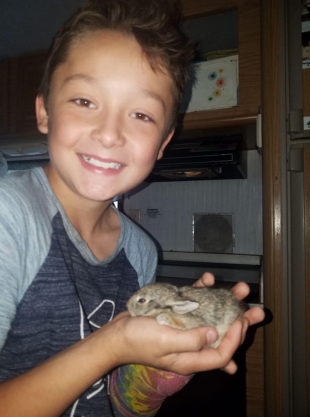 Baby Bunny r/smol