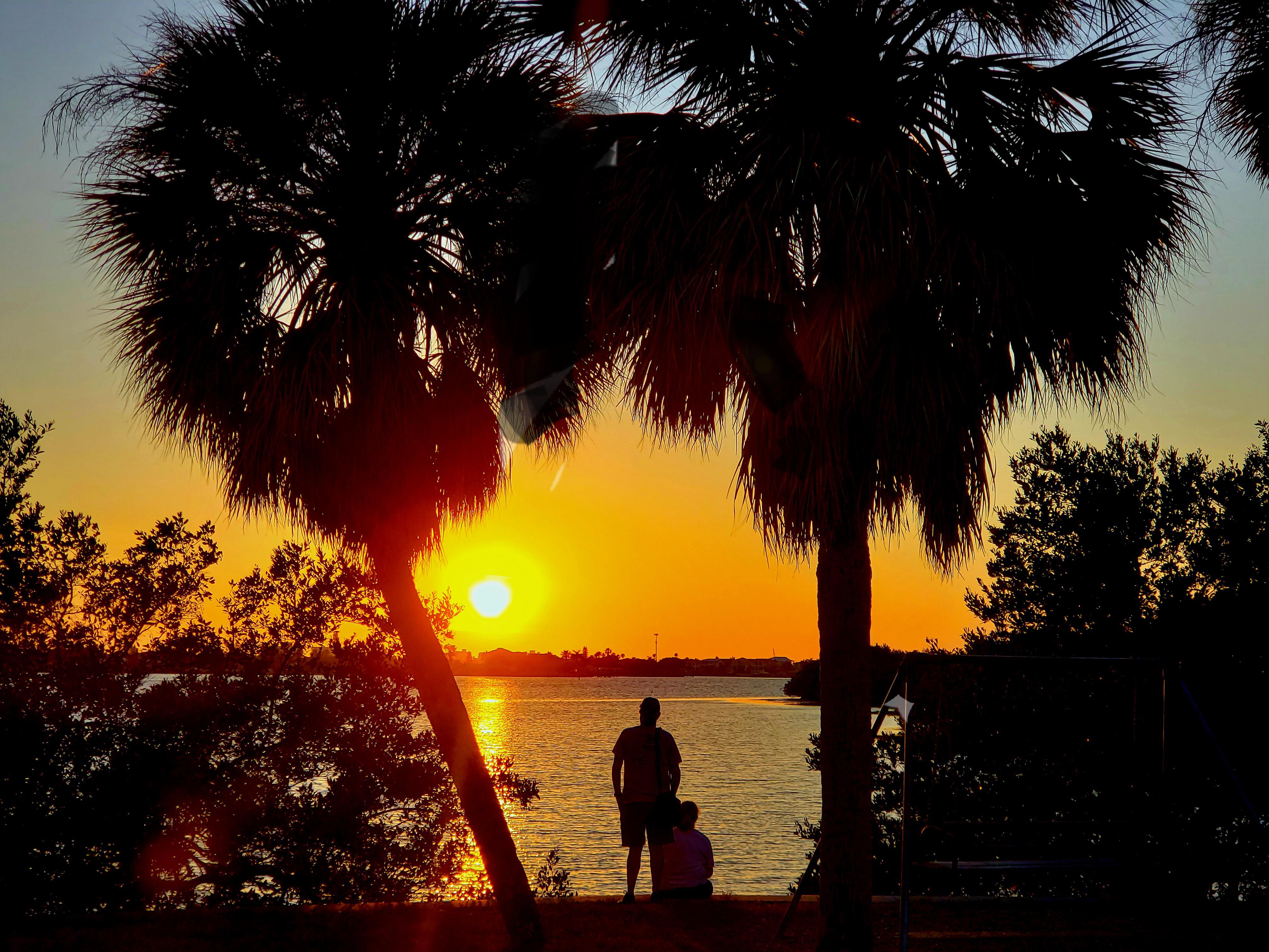 Sunset on Lake Seminole r/StPetersburgFL