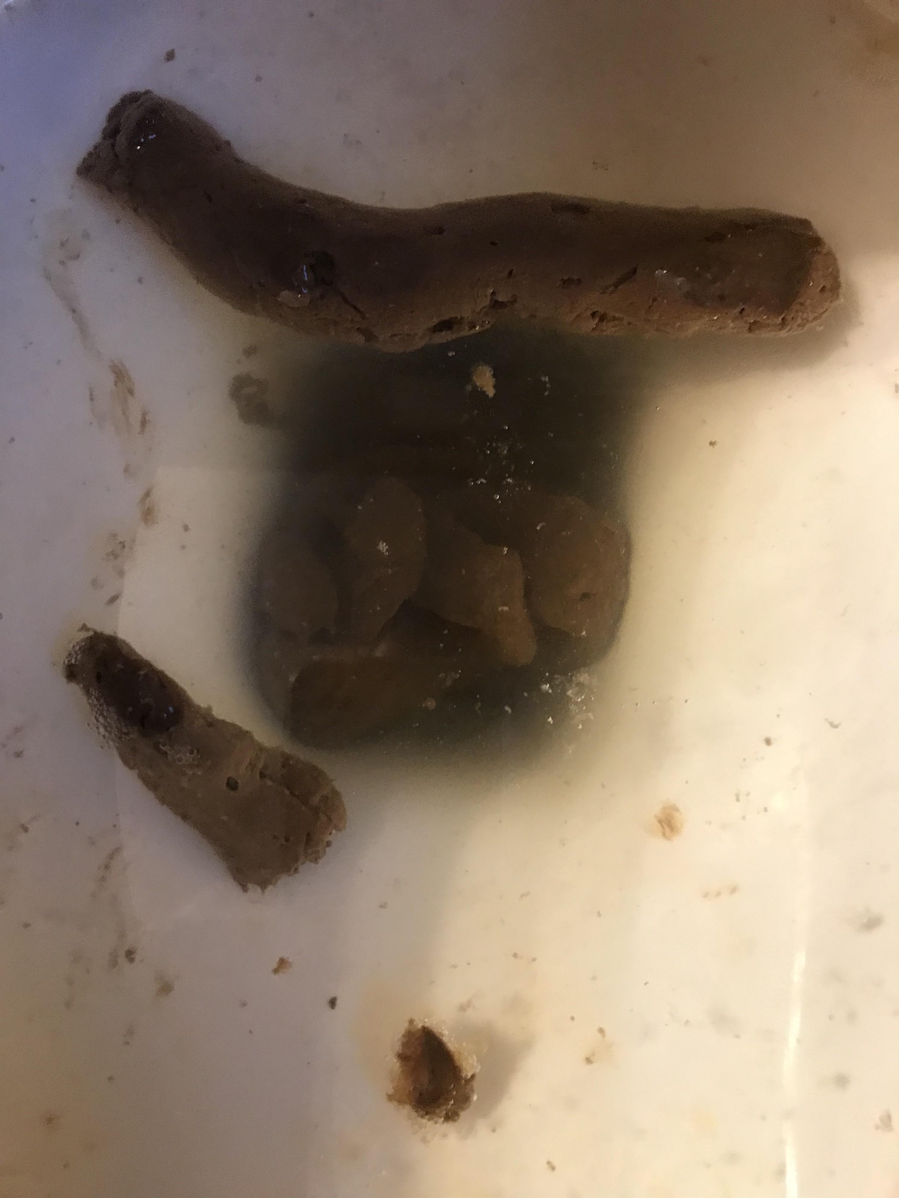 Normal? r/poop