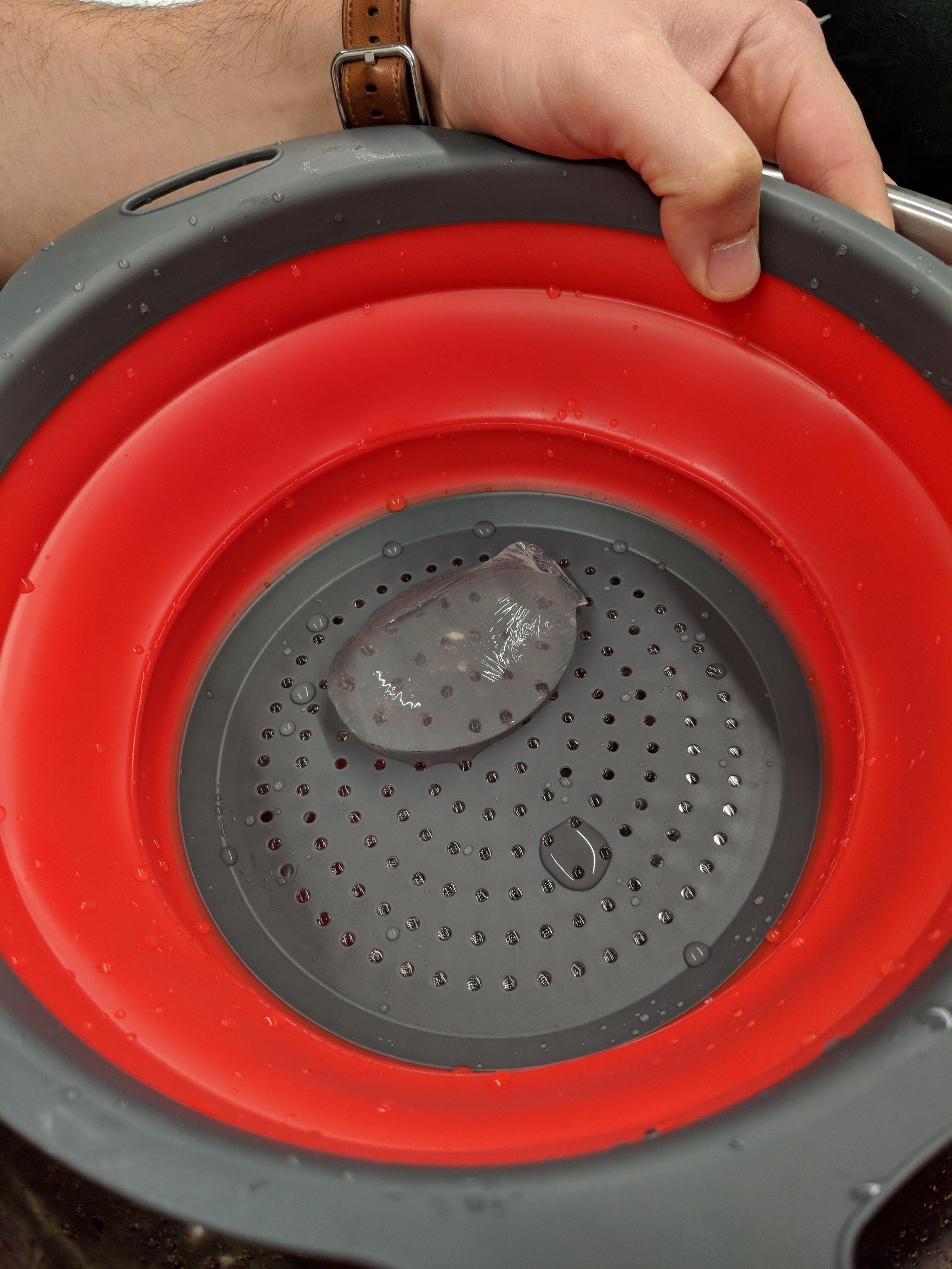 Made edible water bottles for Science Olympiad materials science event