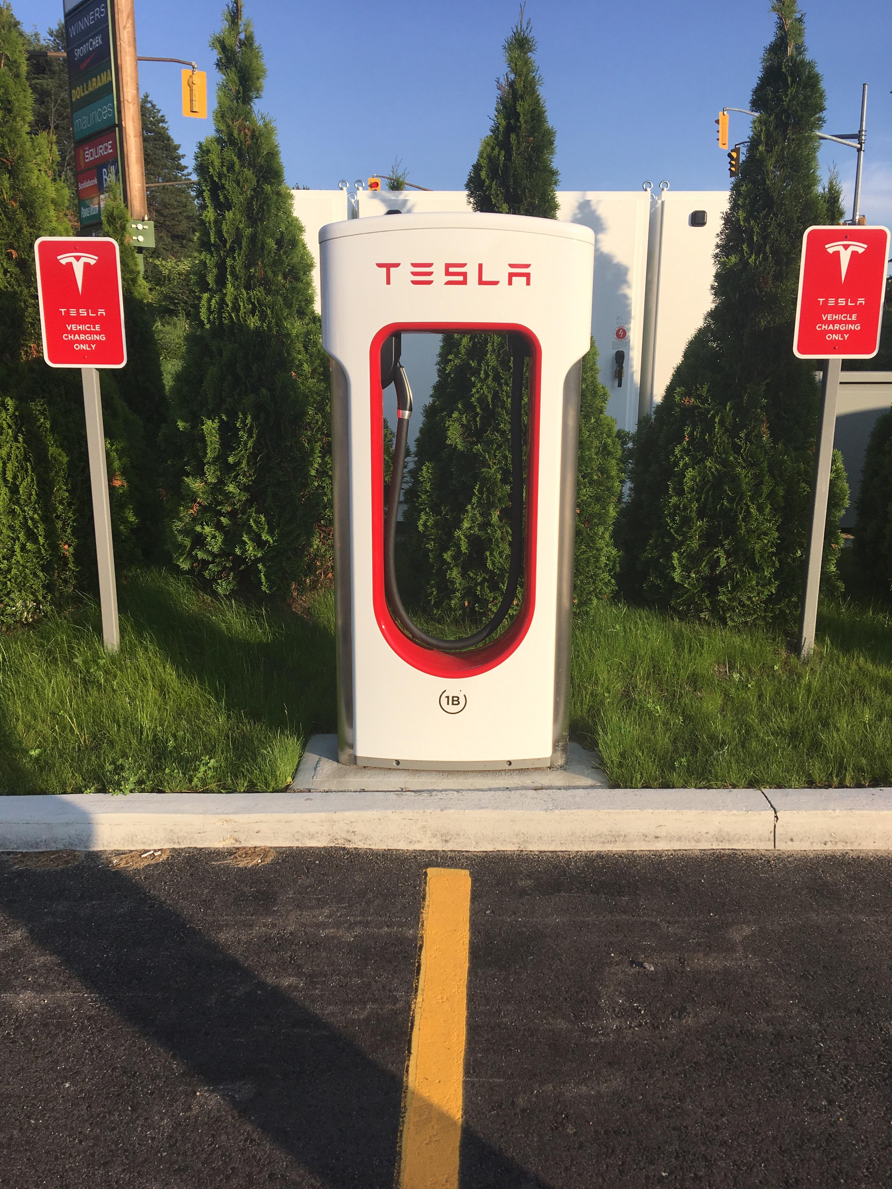 This grocery store has Tesla charging stations r/mildyinteresting