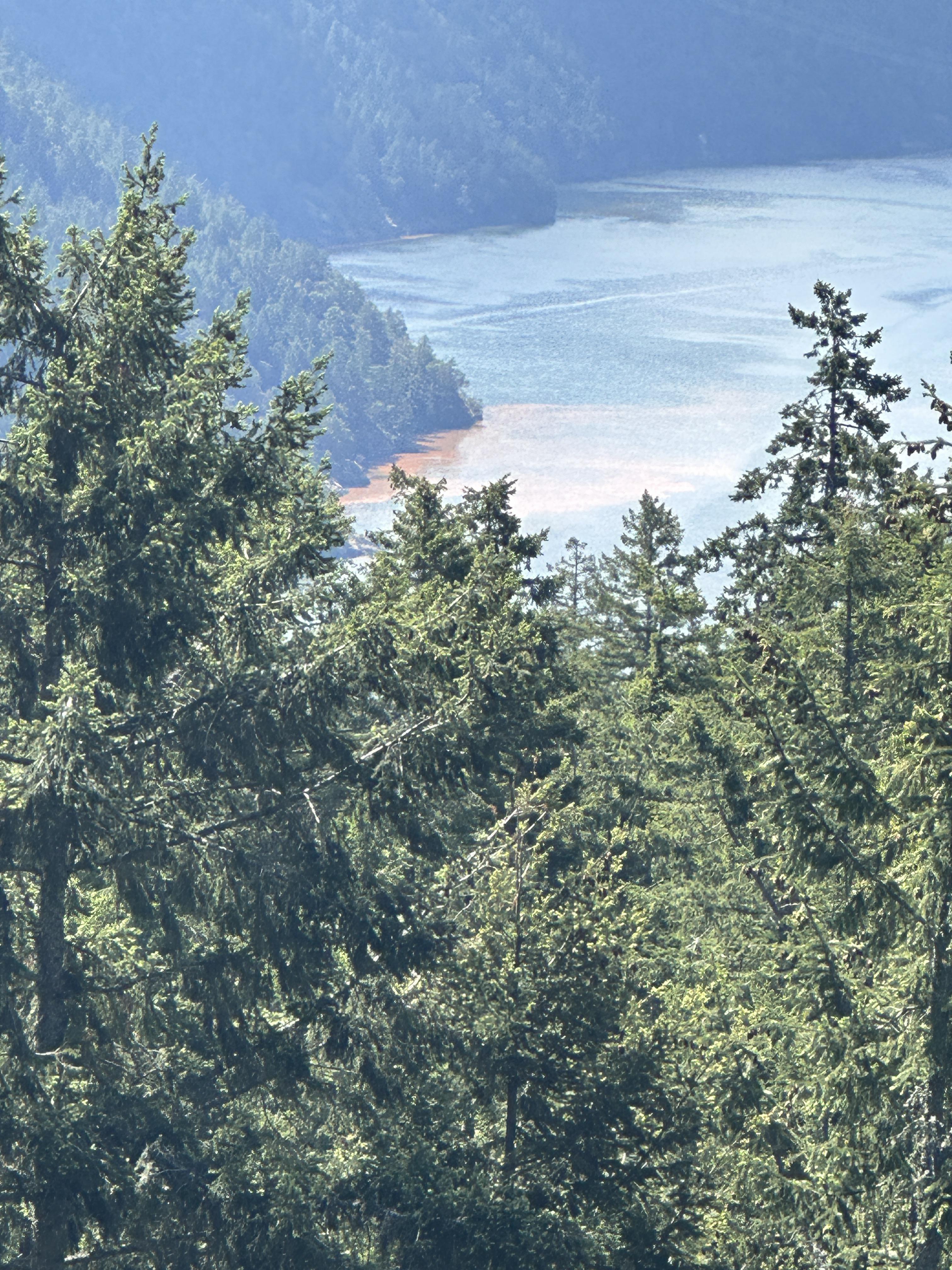 What is the orange stuff in the water in Finlaysson Arm? r/VictoriaBC