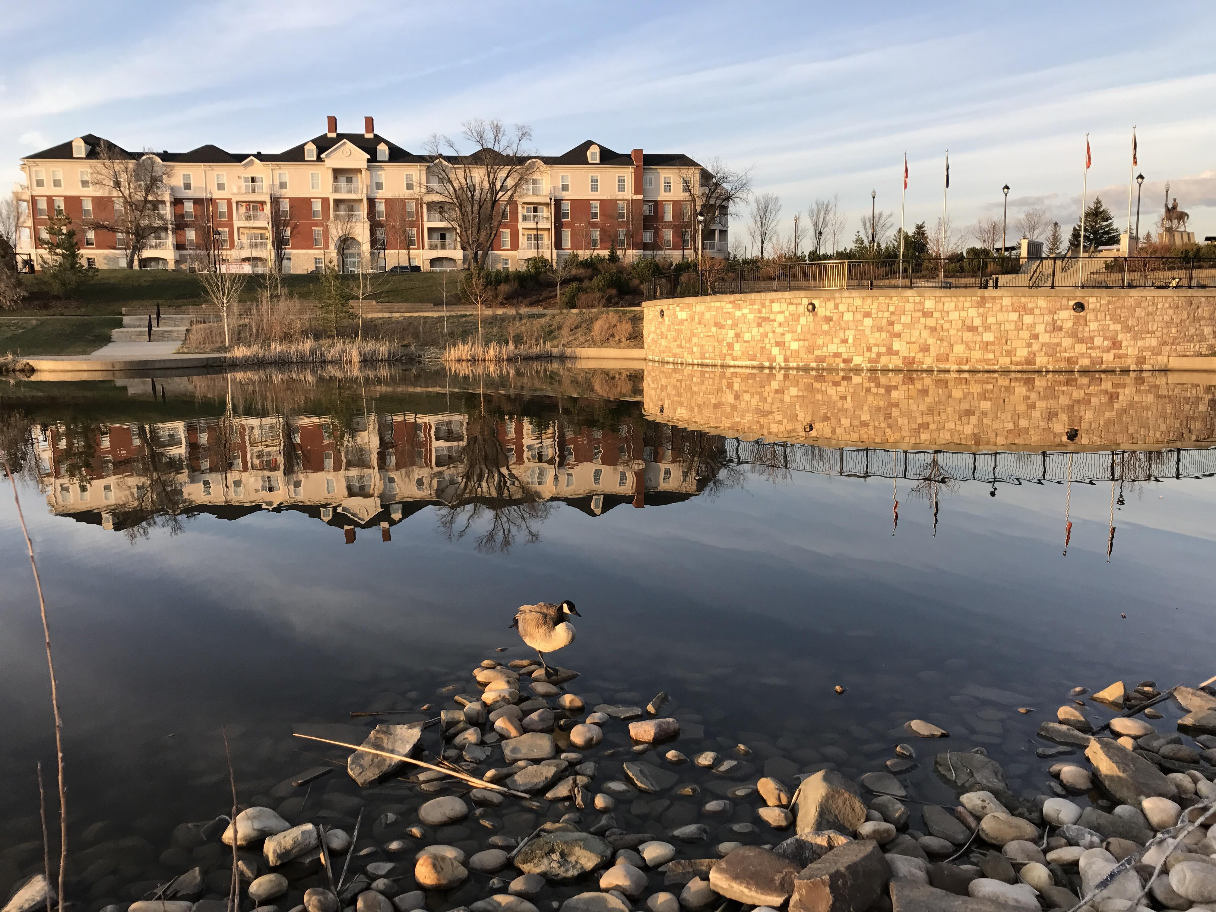 Patricia Park, Edmonton, Alberta r/Edmonton