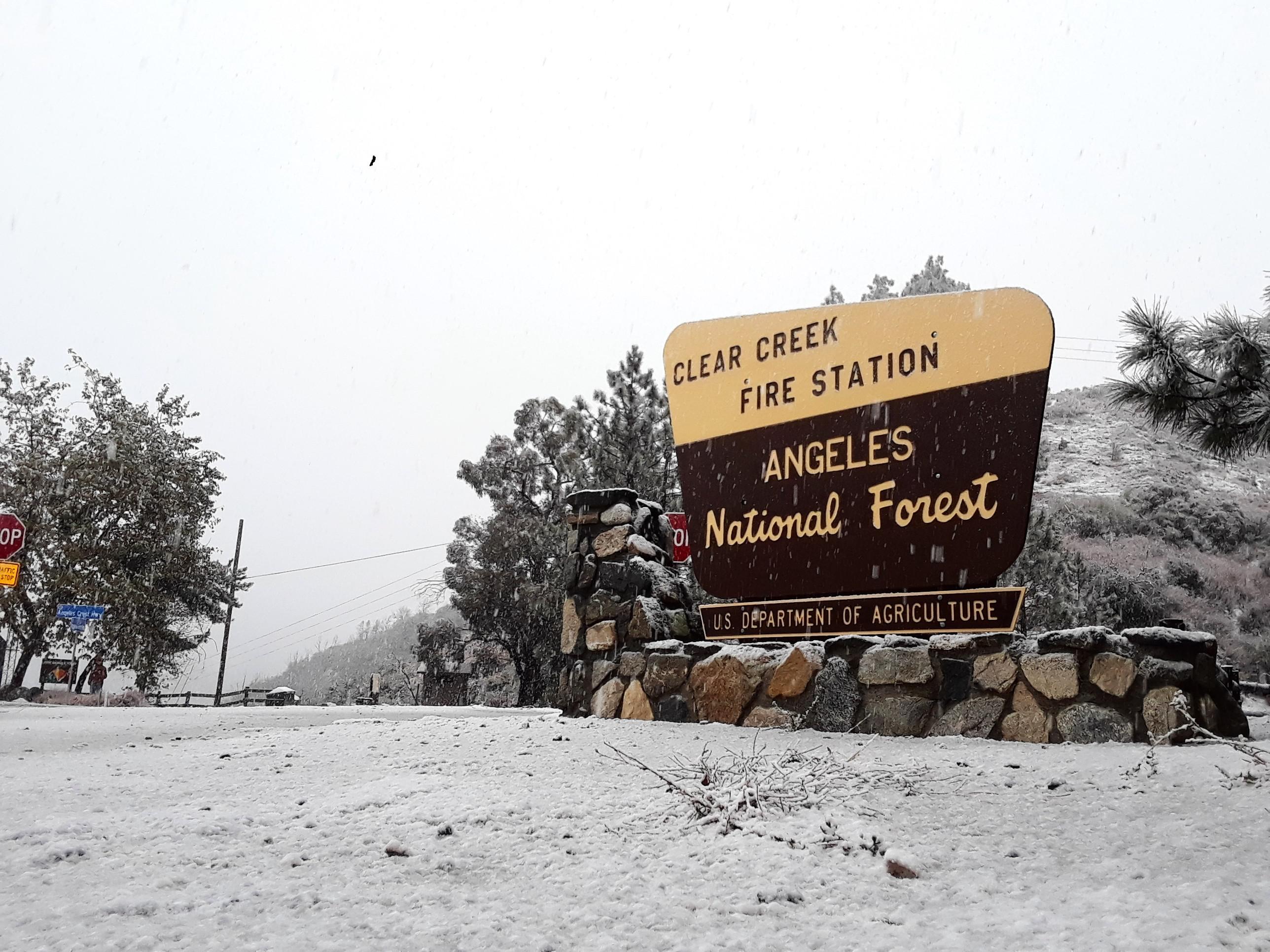 Snowy day on the Angeles Crest r/socalhiking