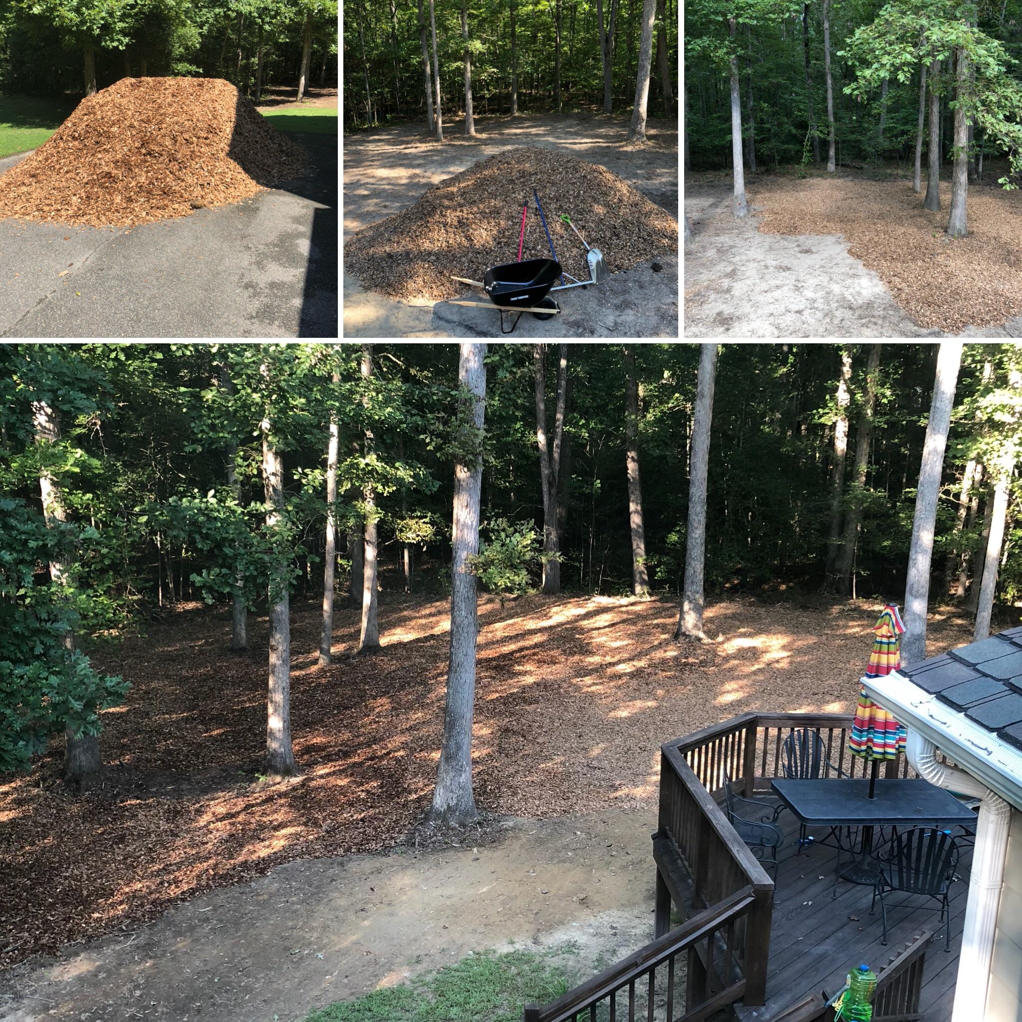 Two dump trucks (40 cubic yds) of wood chips laid by myself in two days