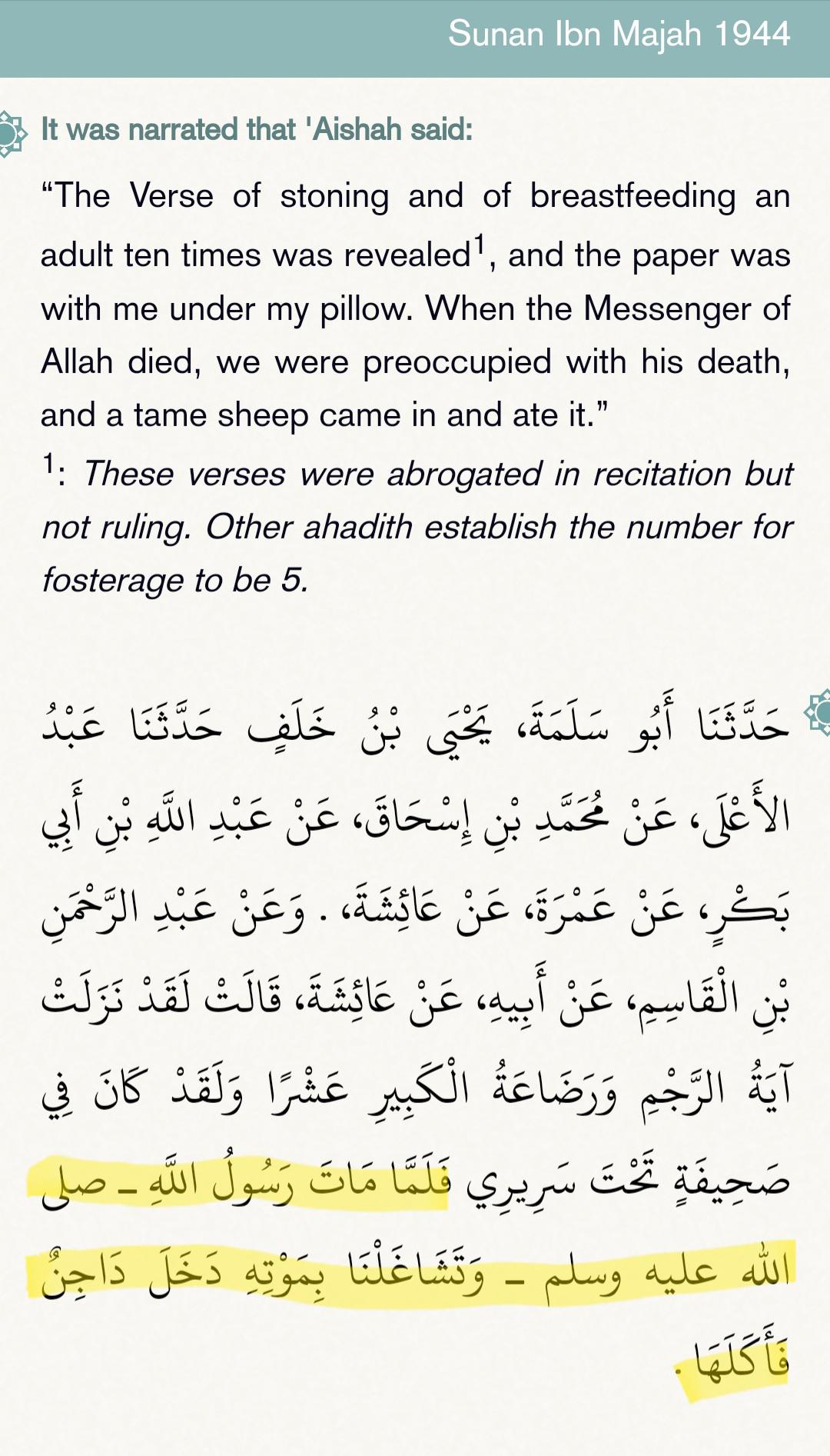 Sheep eating the Quran r/ExEgypt