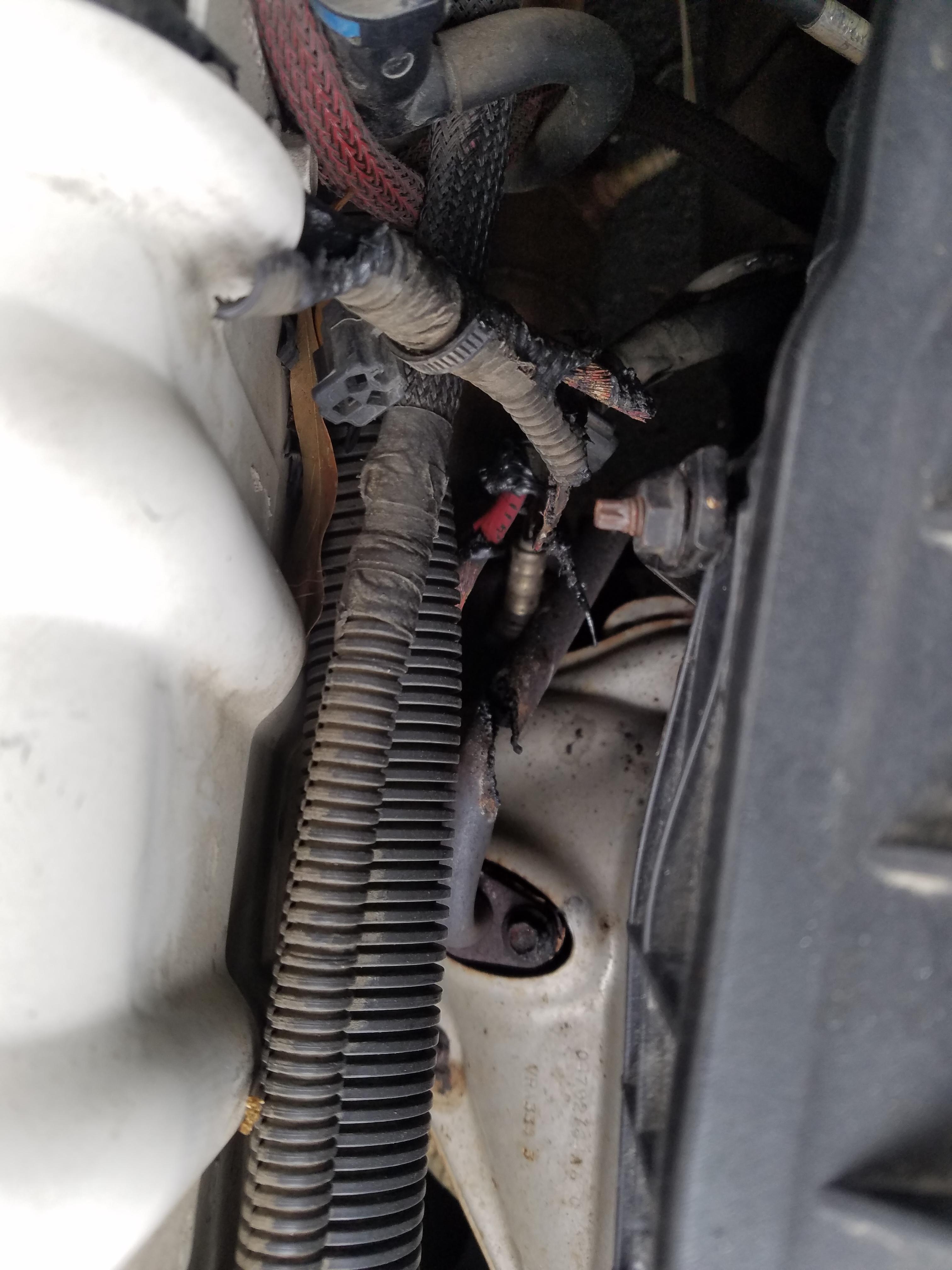 Shorted battery cable cut straight through the EGR tube r