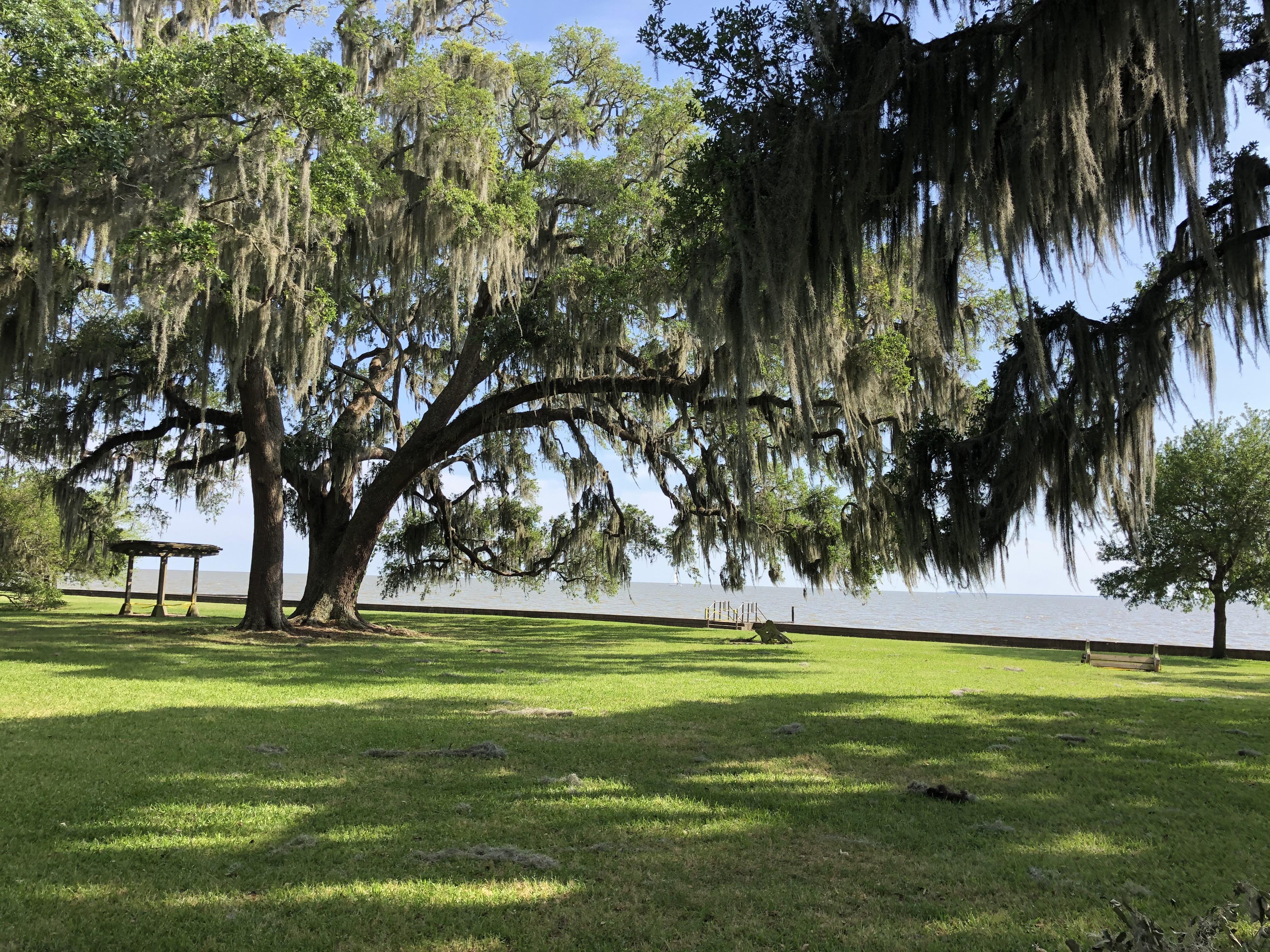 Beautiful day out there to get some fresh air and exercise Mandeville