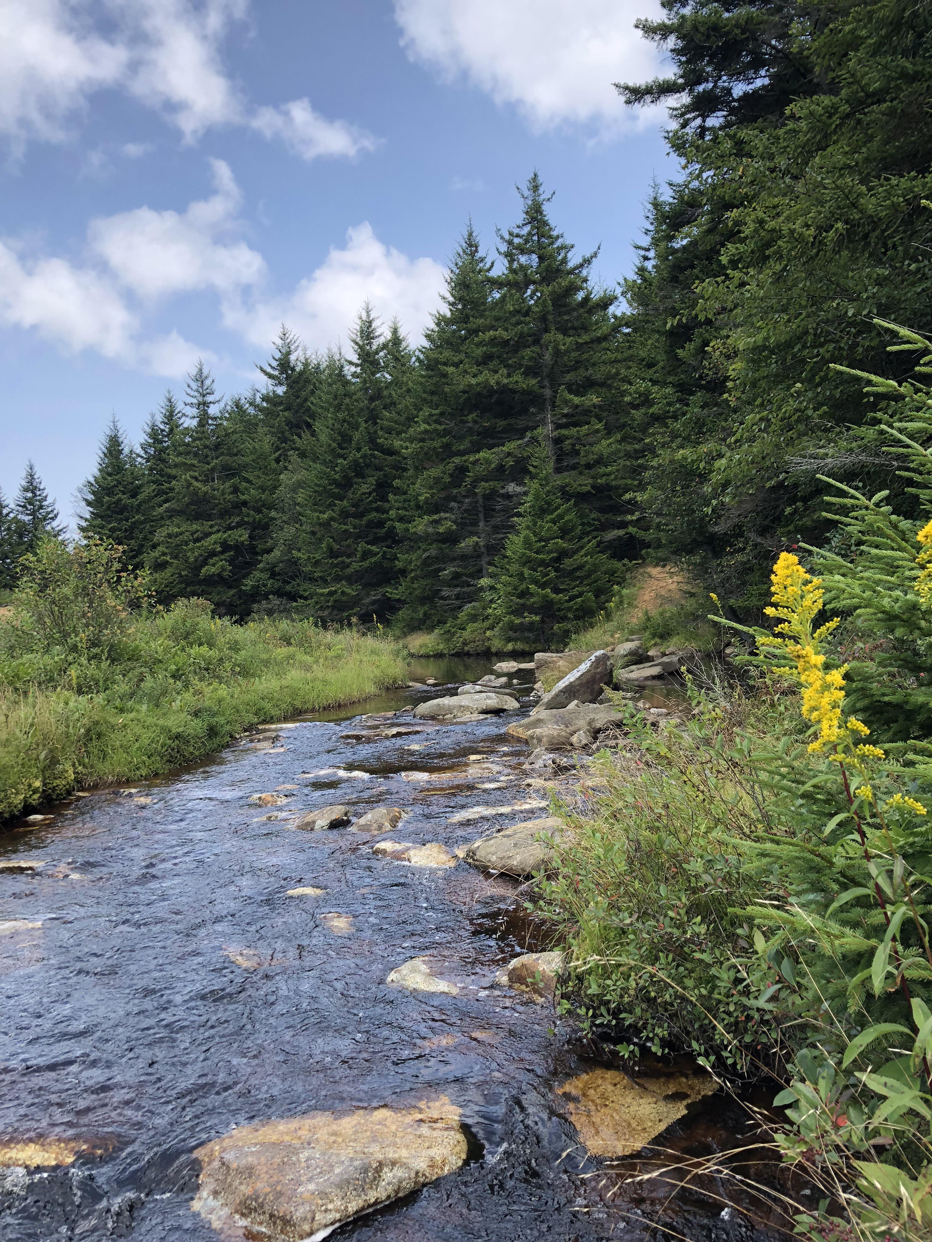 Dolly Sods West Virginia r/WildernessBackpacking