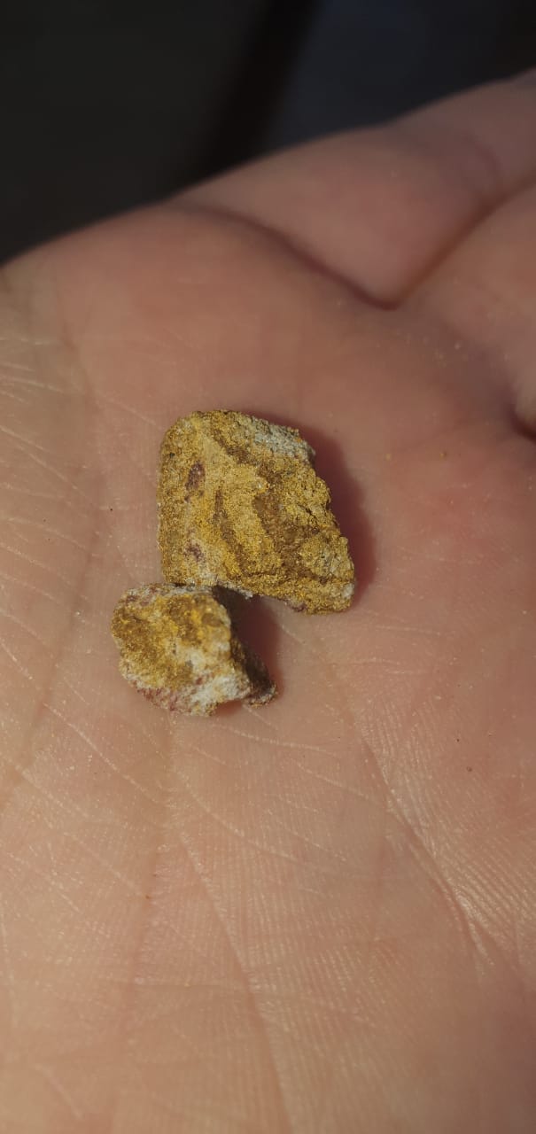 I found a big sand stone and broke it in half and it was ingrained with