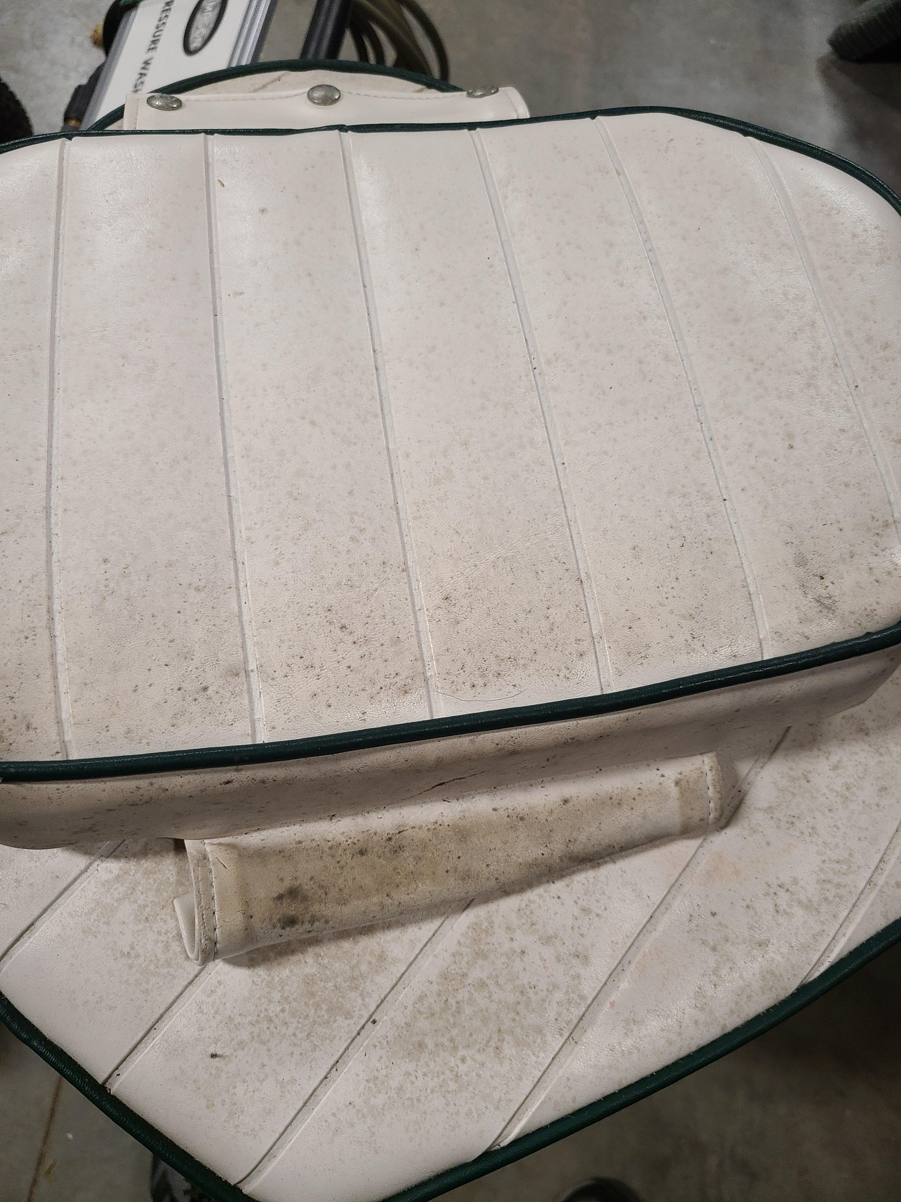 Anyone have for products to clean mildew off vinyl seat