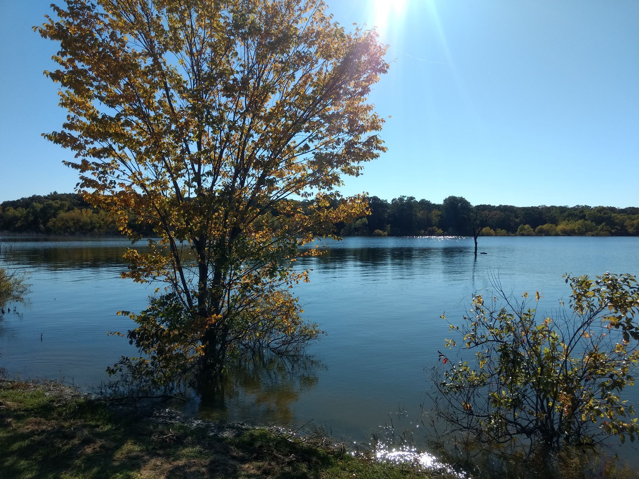 [OC] Lake Tawakoni State Park, just about an hour outside Dallas, TX