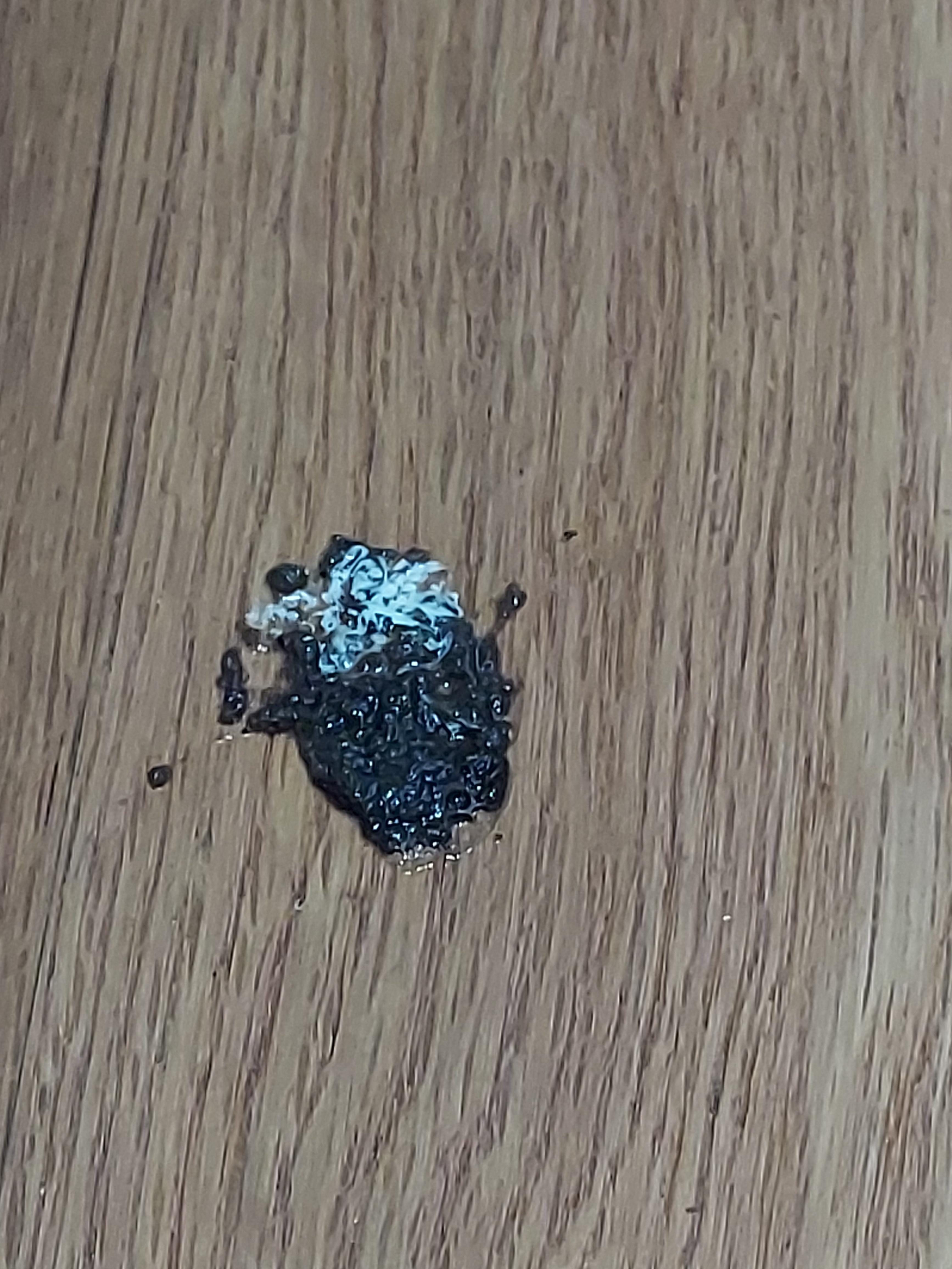 Am I paranoid? My birds poop looks a bit darker than usual it still