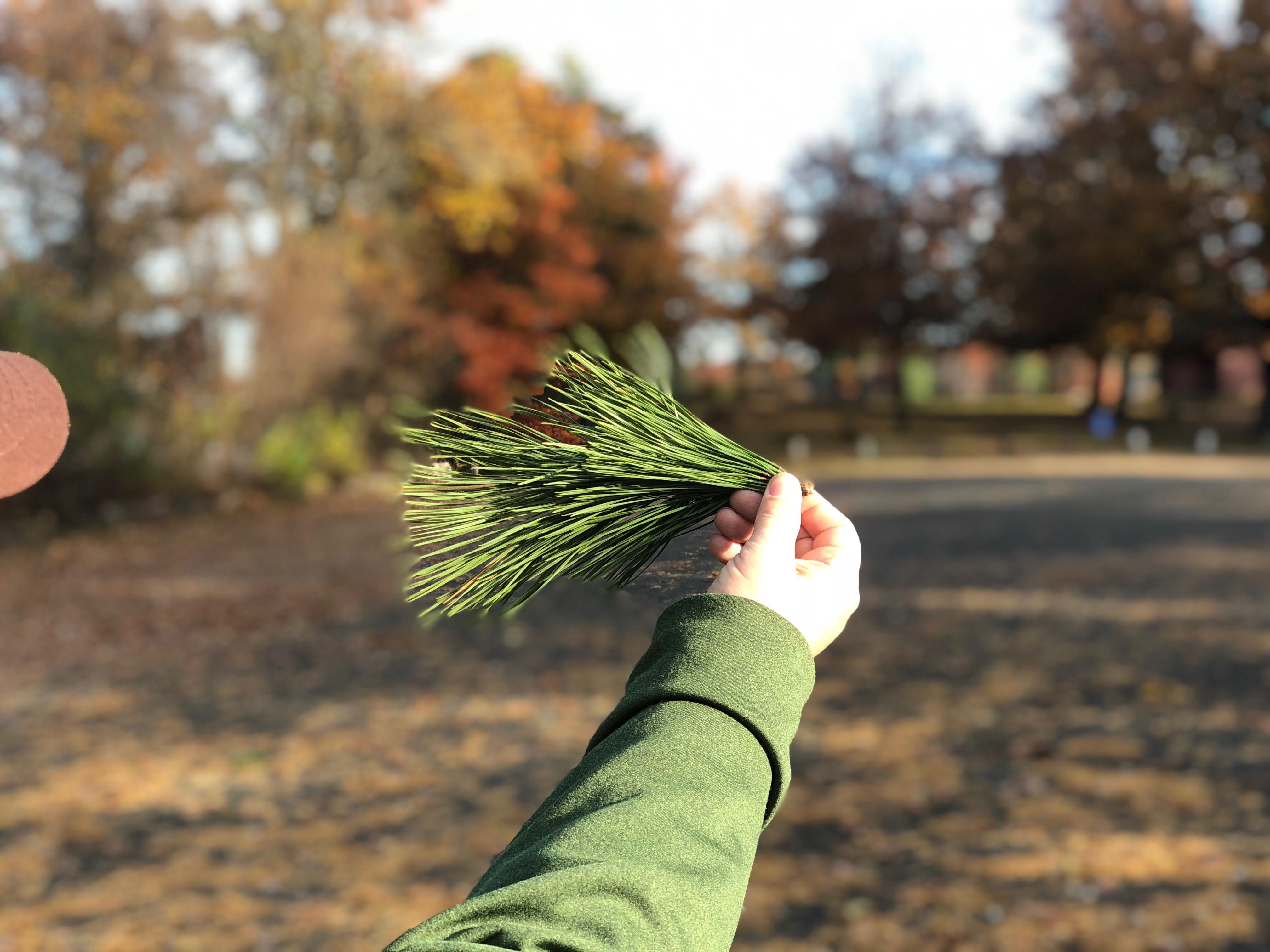 Tied a perfect olive Vegan Lysol Juicer streamer today. Gonna see how it fishes on a local pond