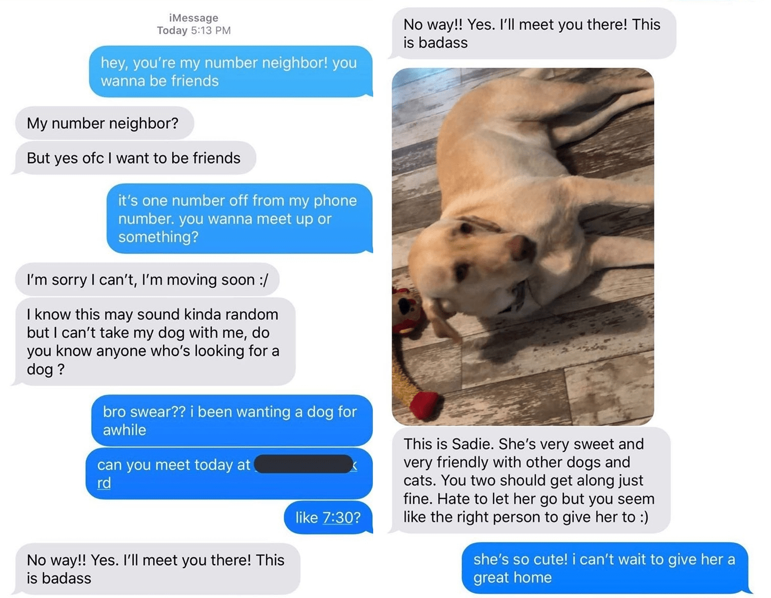Just giving a dog away for free with no background check r/Badfaketexts