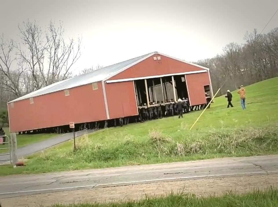 Amish community moving a pole barn with no equipment, strength in