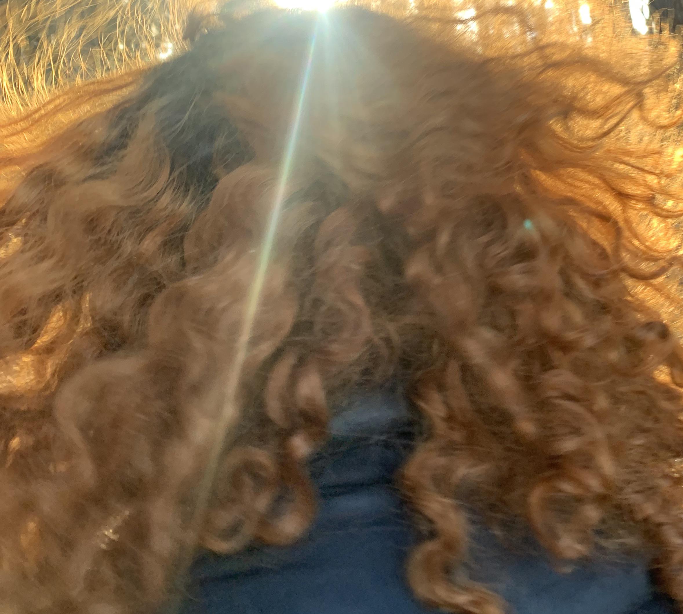 Want to dye my hair brown after bleaching it and dying it coper after