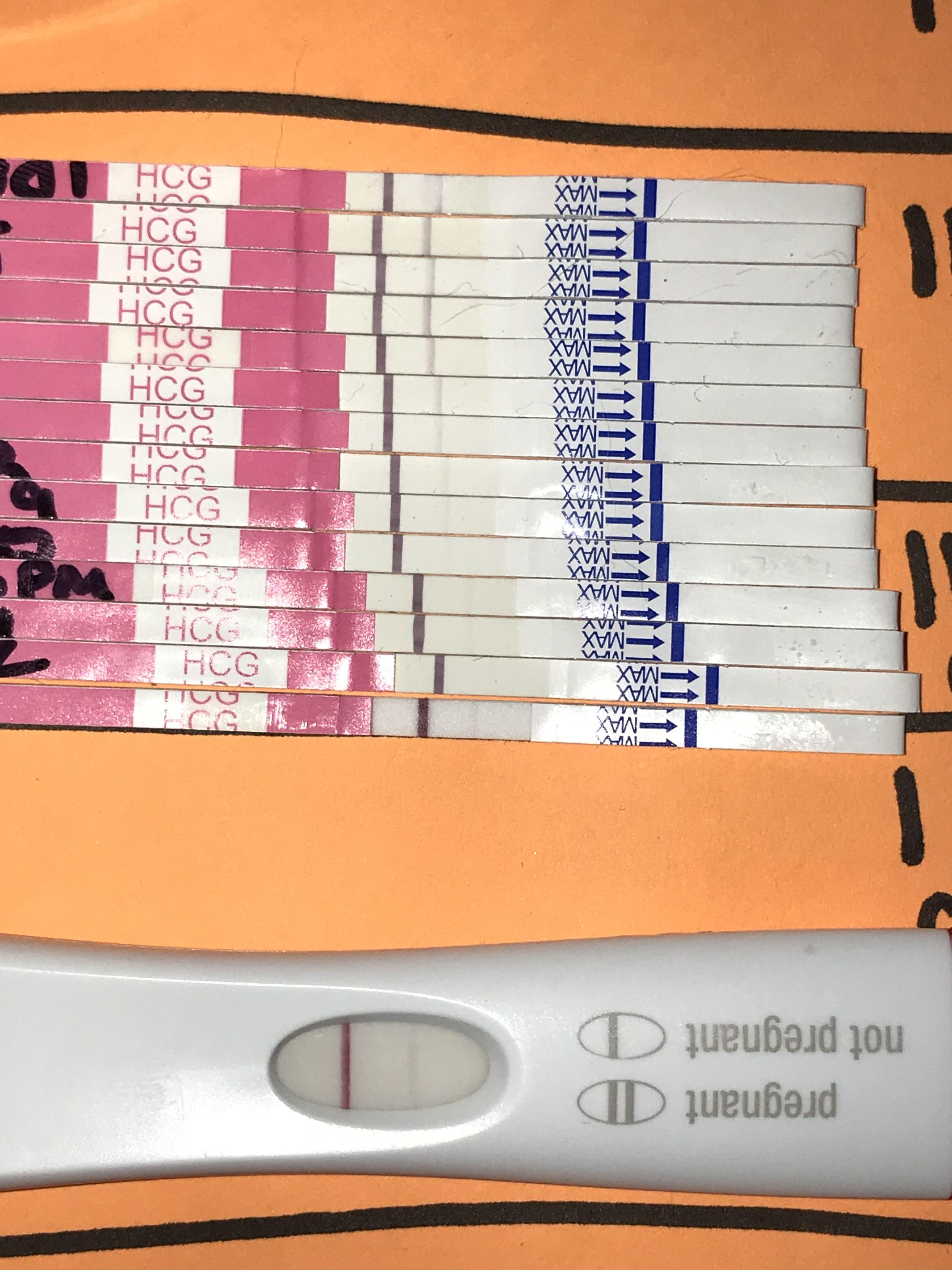 Easyhome/FRER. Trigger shot progression.is it really there? 11DPO
