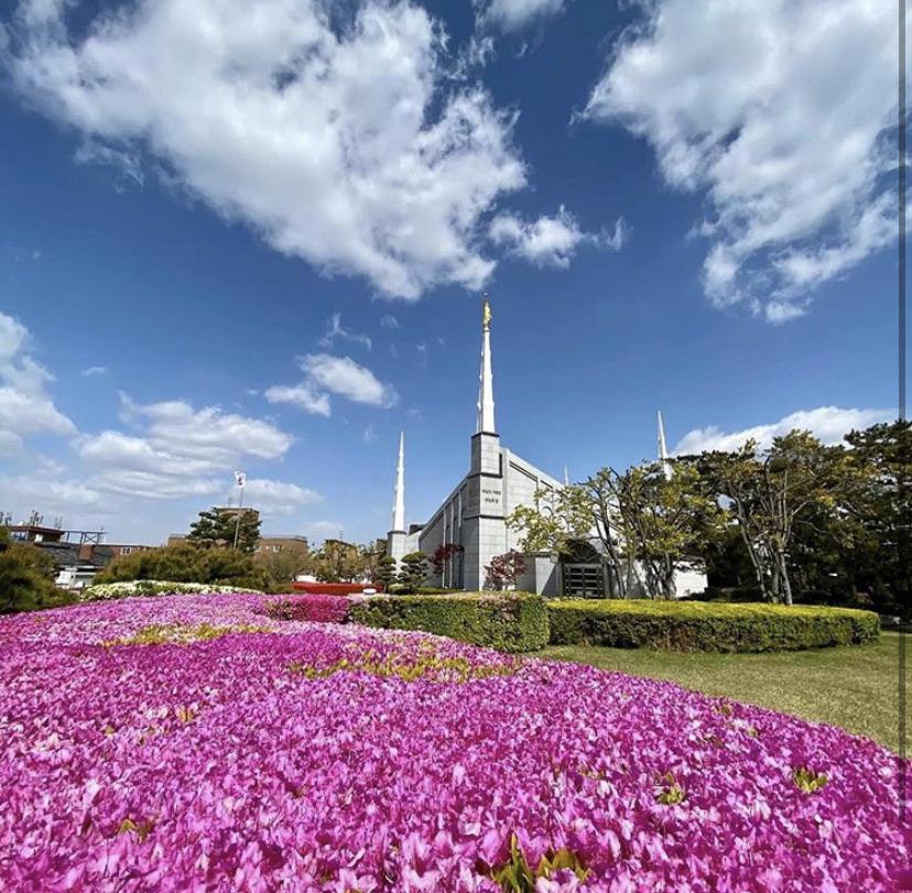 I love to see the temple; A springtime in Korea Seoul Temple. r/latterdaysaints