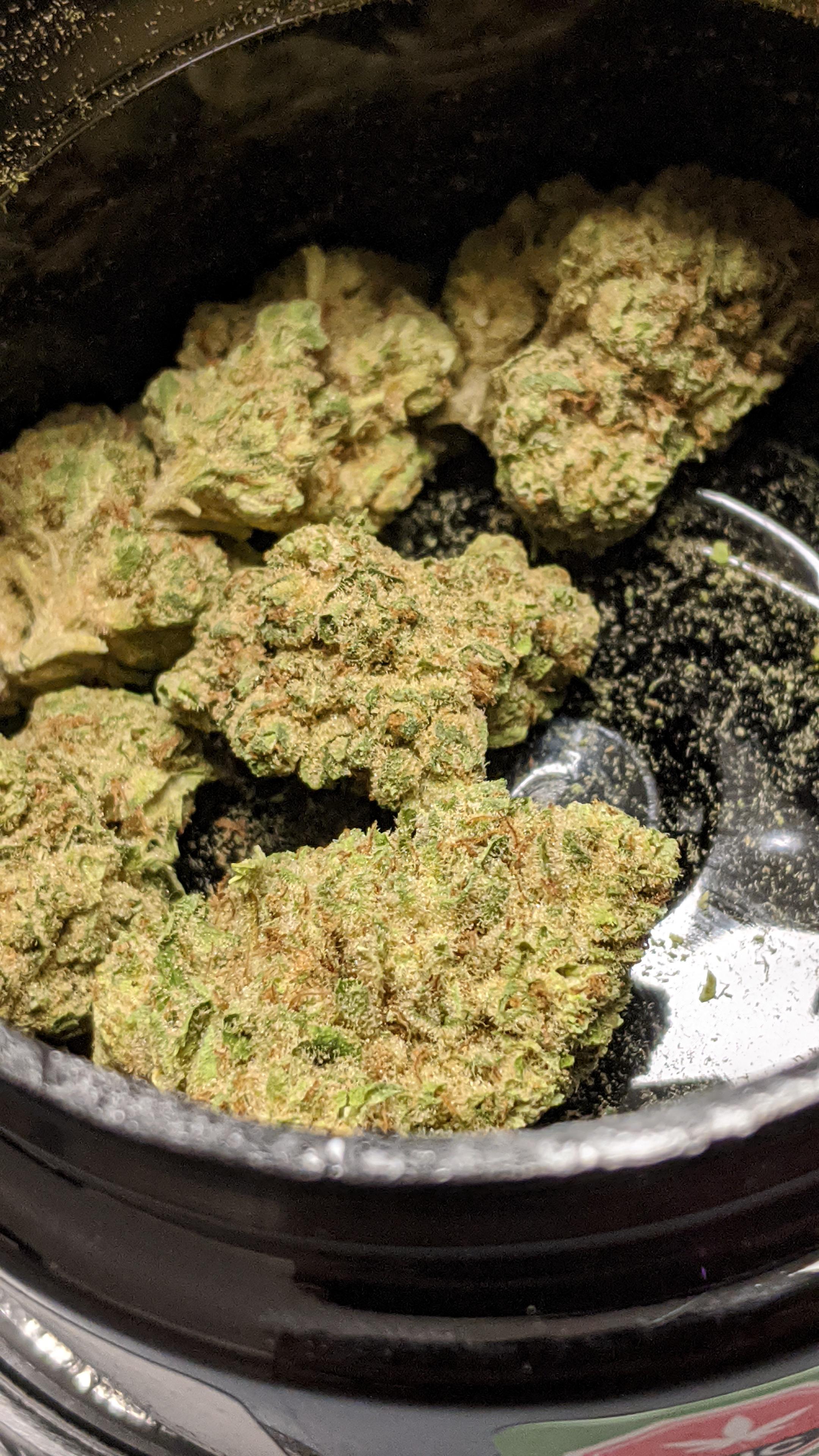 Color Ghost Train Haze 18.10 THC ( Manitoba ) RecPics