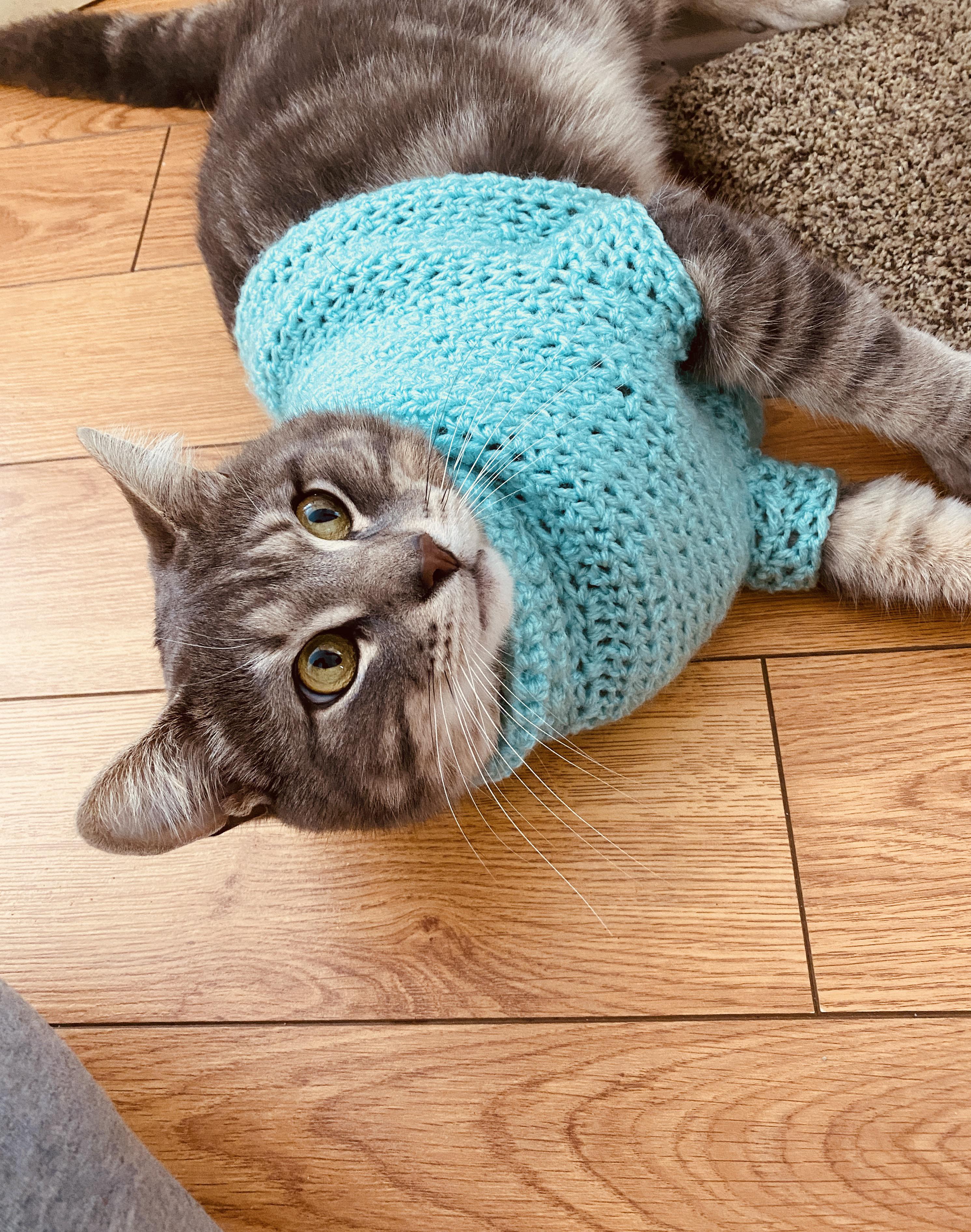 My boyfriend’s mother crocheted a sweater for my cat! r/cats