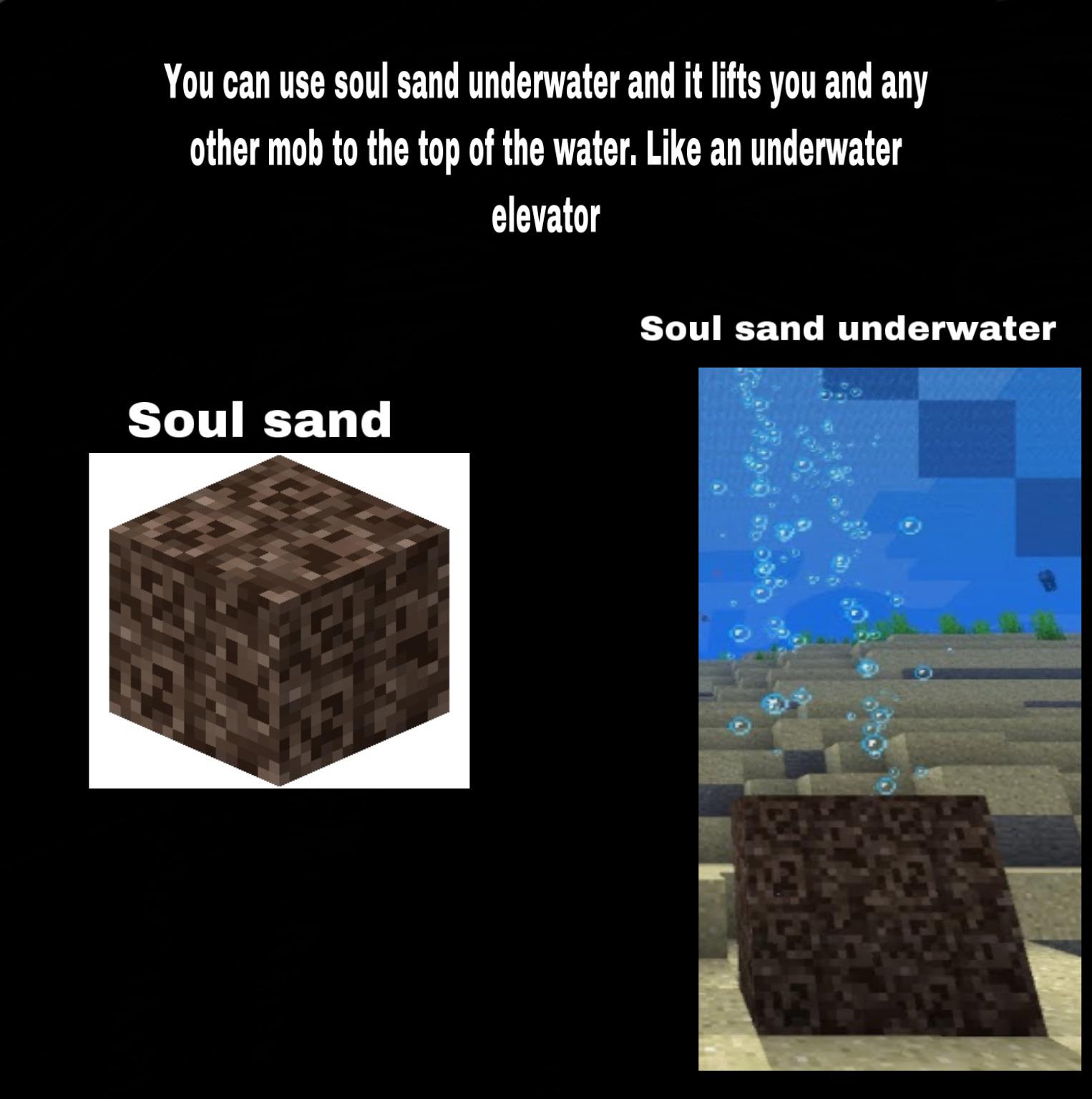 You can use soul sand for your dolphin tunnel! r/polarsaurusrex