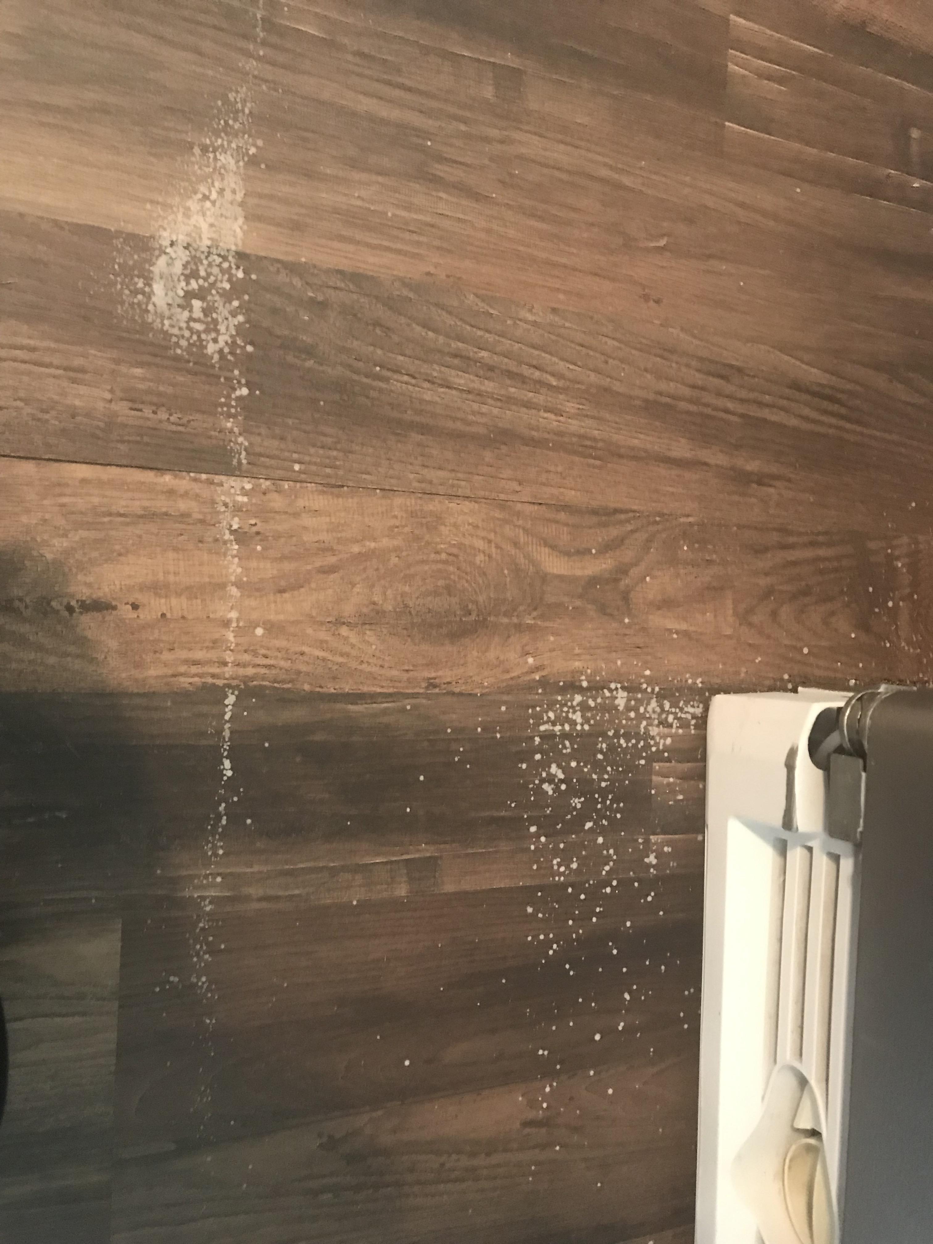What are these white spots spreading on this laminate flooring? Cleans