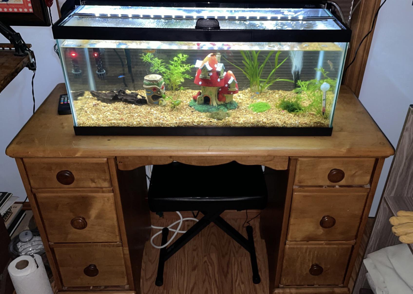 Would this table support a 40 gallon? (More details on it in the