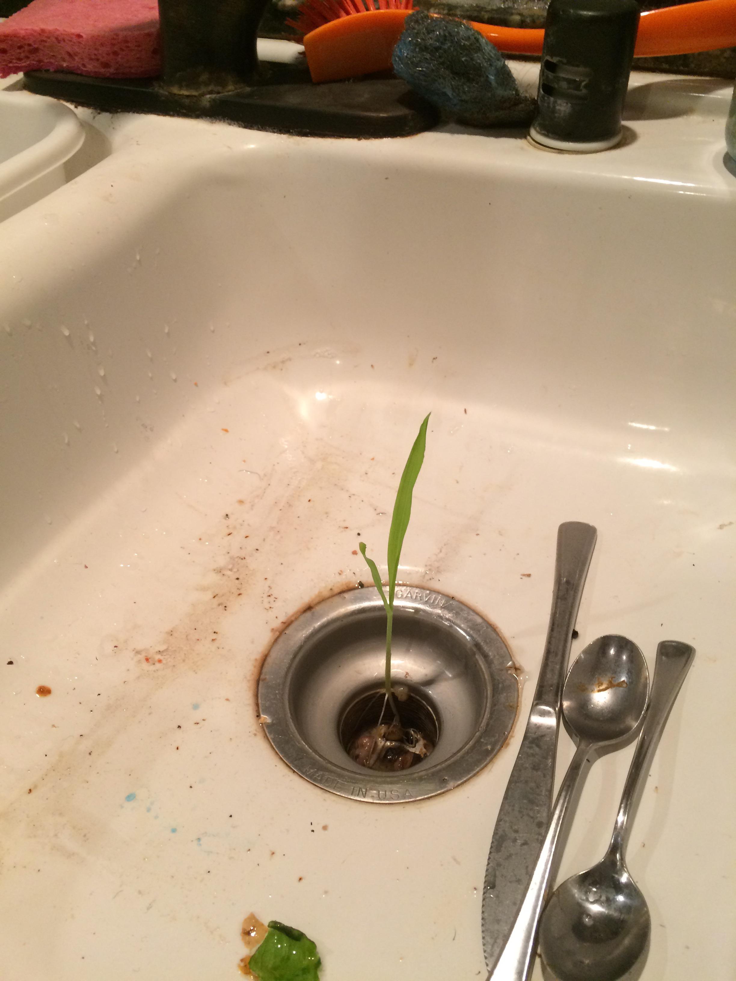 I used to make a lot of popcorn. Had a dishpan upside down in the sink