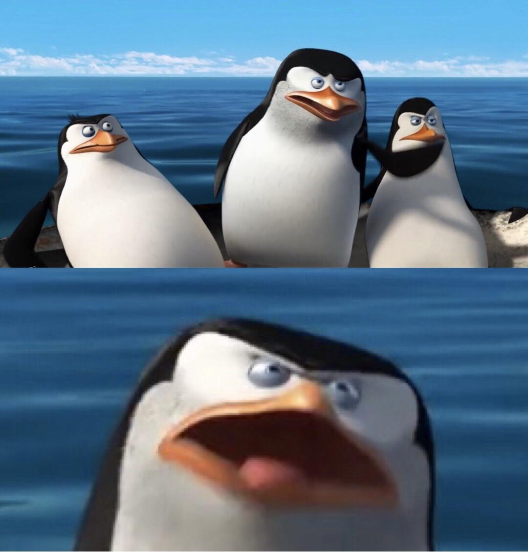 Skipper “Wouldn’t that make you gay?” MemeTemplatesOfficial