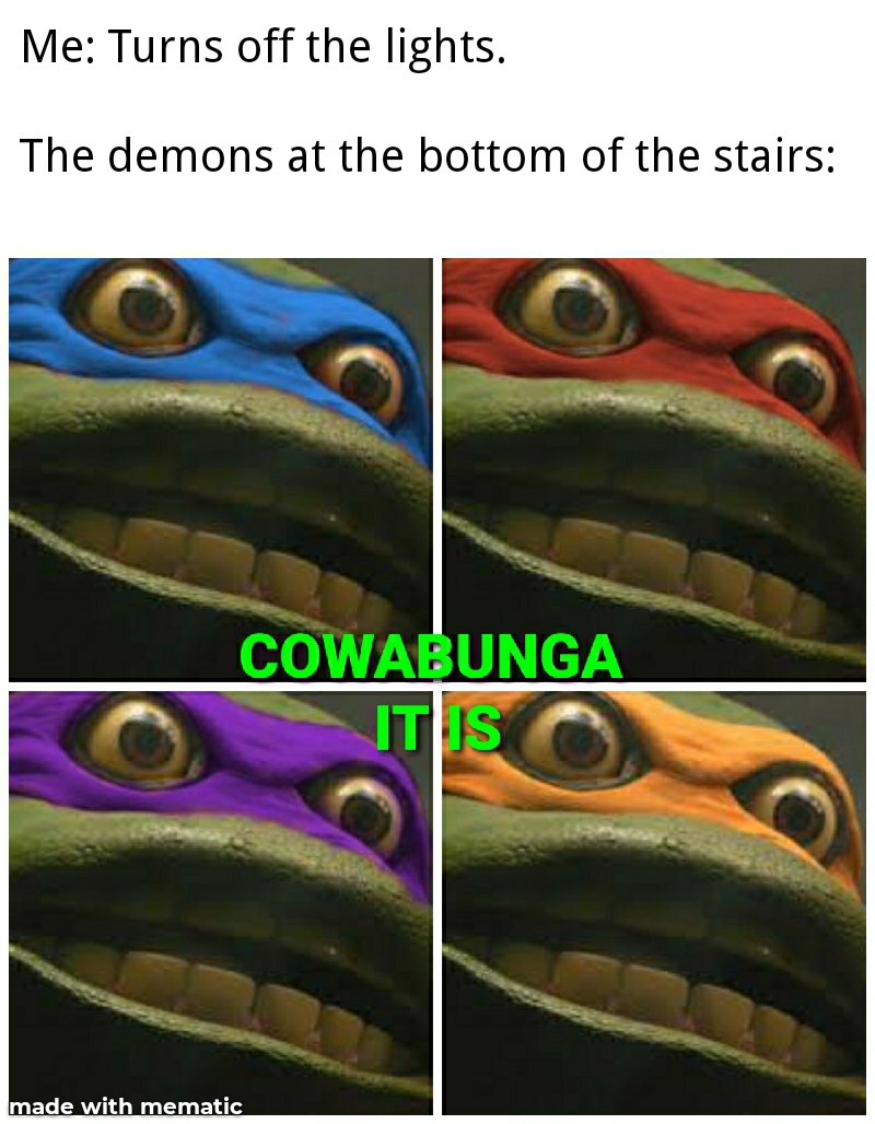 Another original cowabunga it is r/memes