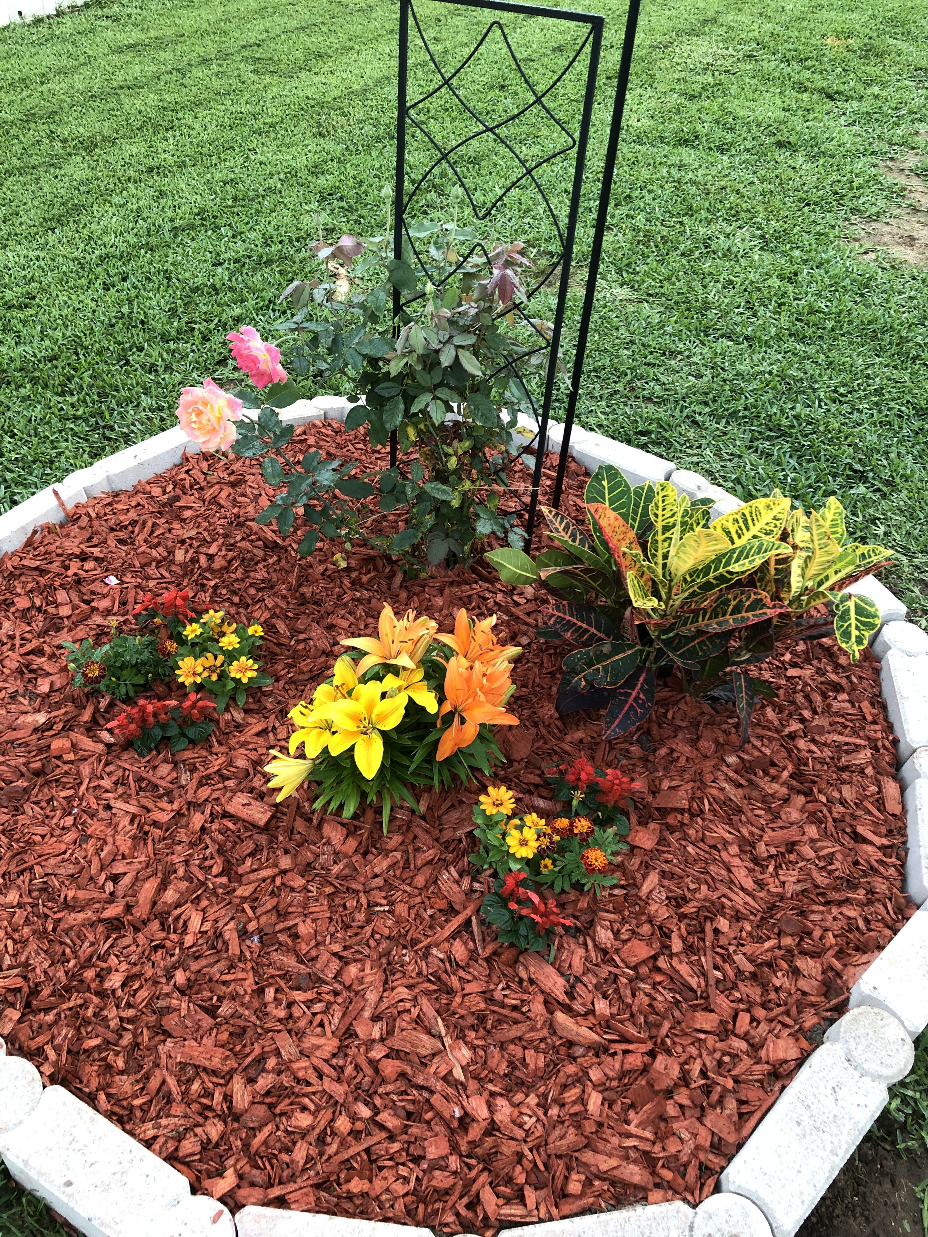 Mother’s Day garden we made for my stepmom. We tried to center it