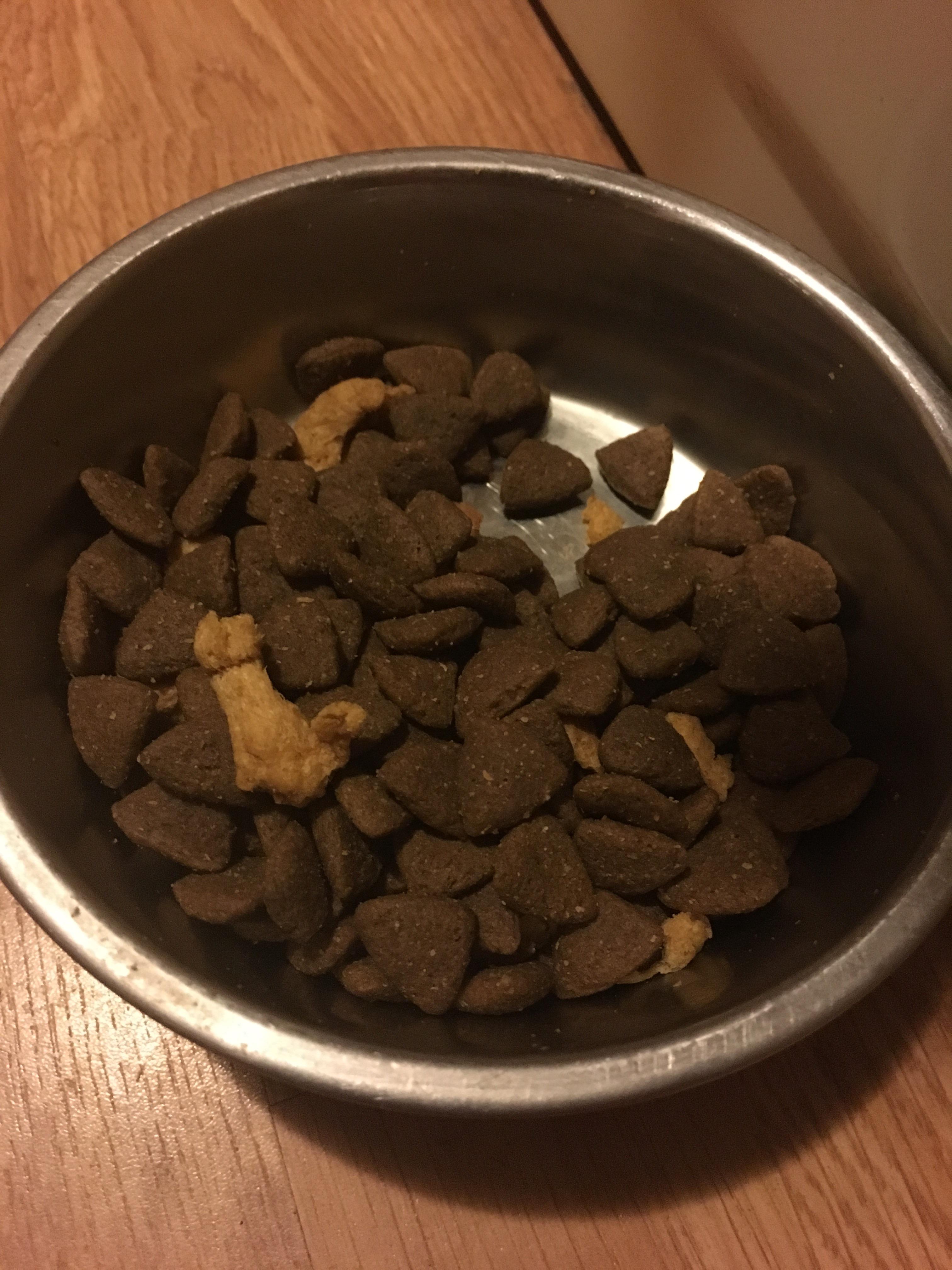 My dogs food tonight had a cat in it r/mildlyinteresting