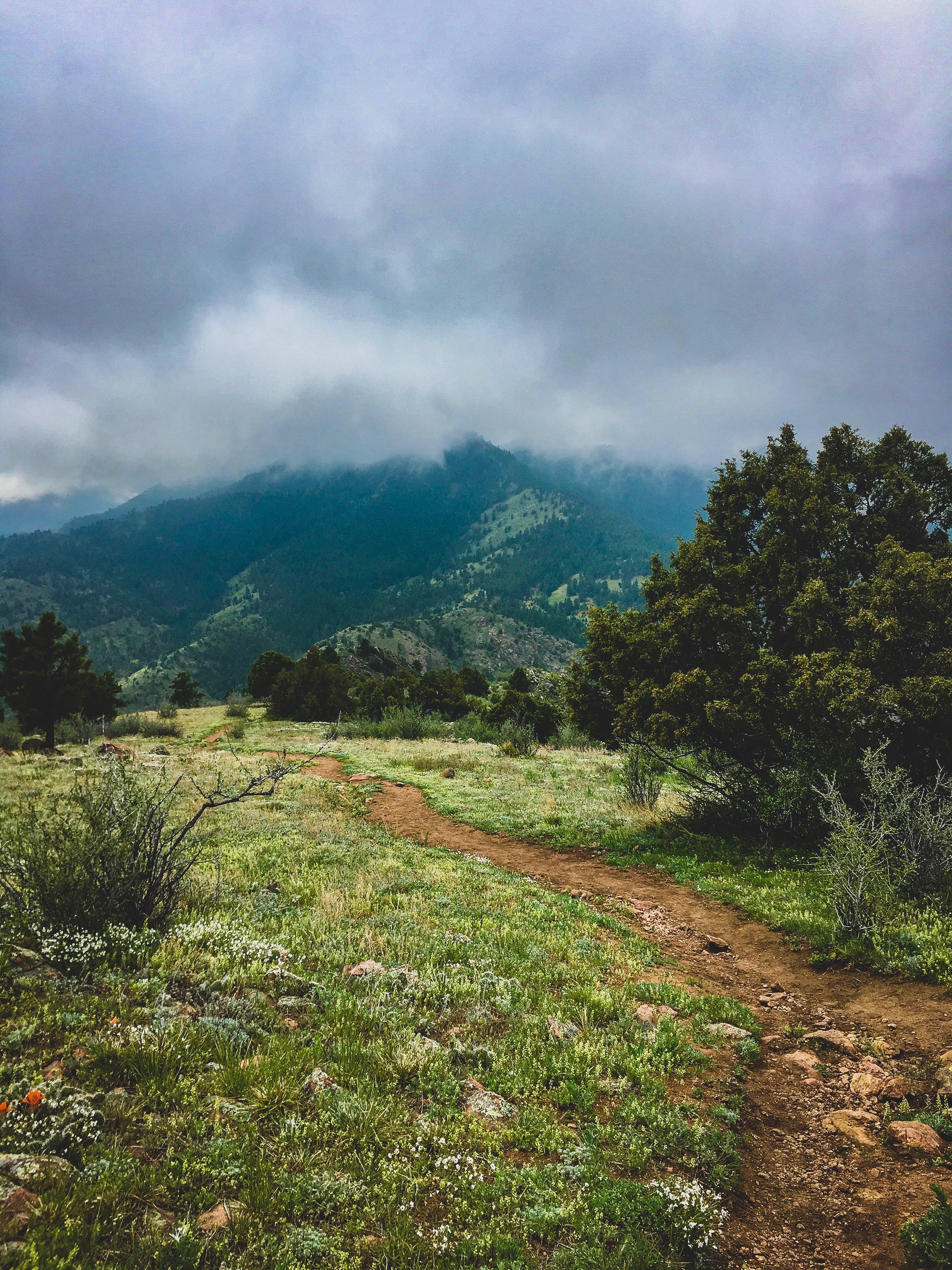 Backyard trails near Morrison, CO r/trailrunning