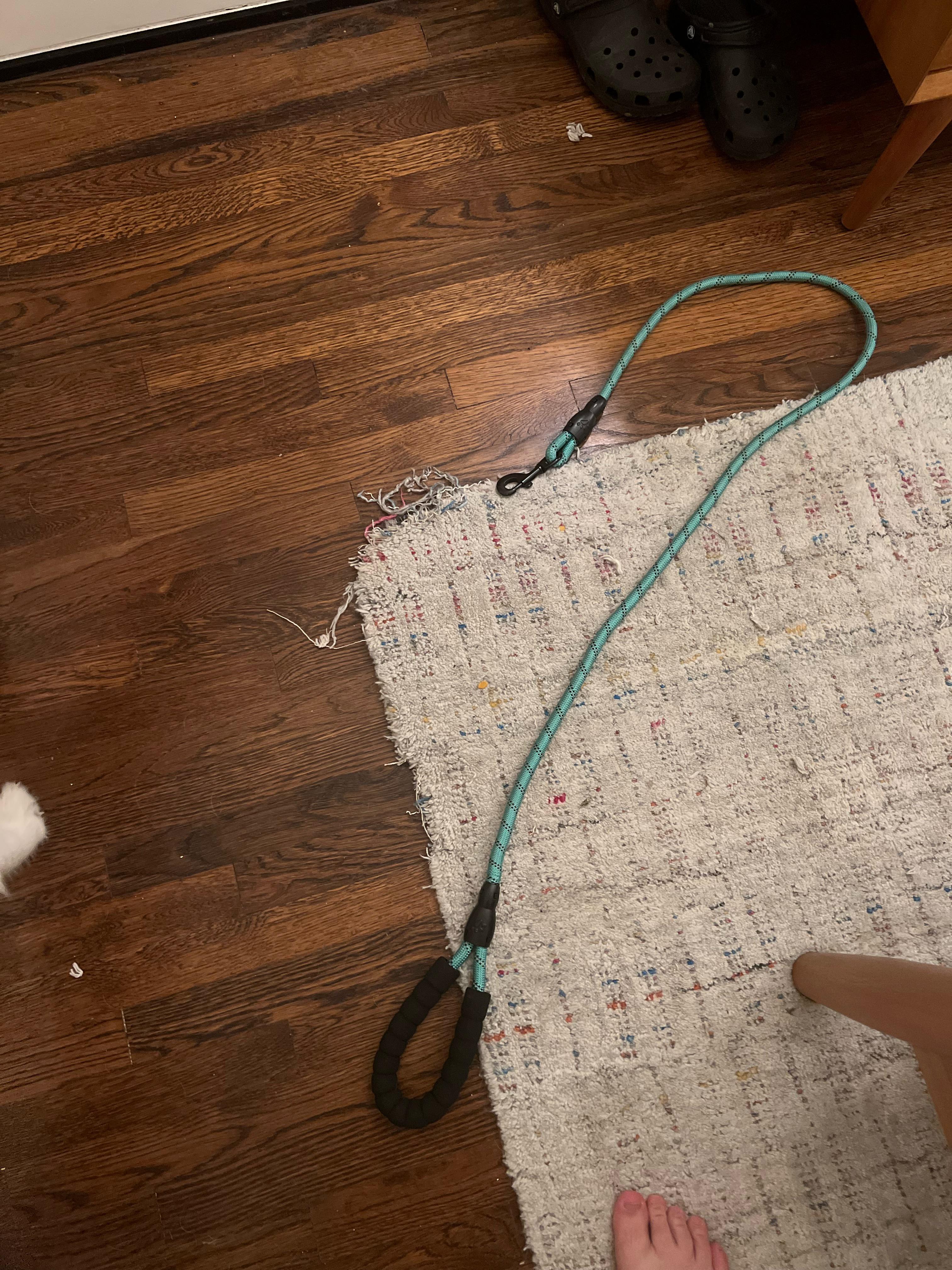 Dog chewed up corner of rug. Is there anyone that can resize a rug in