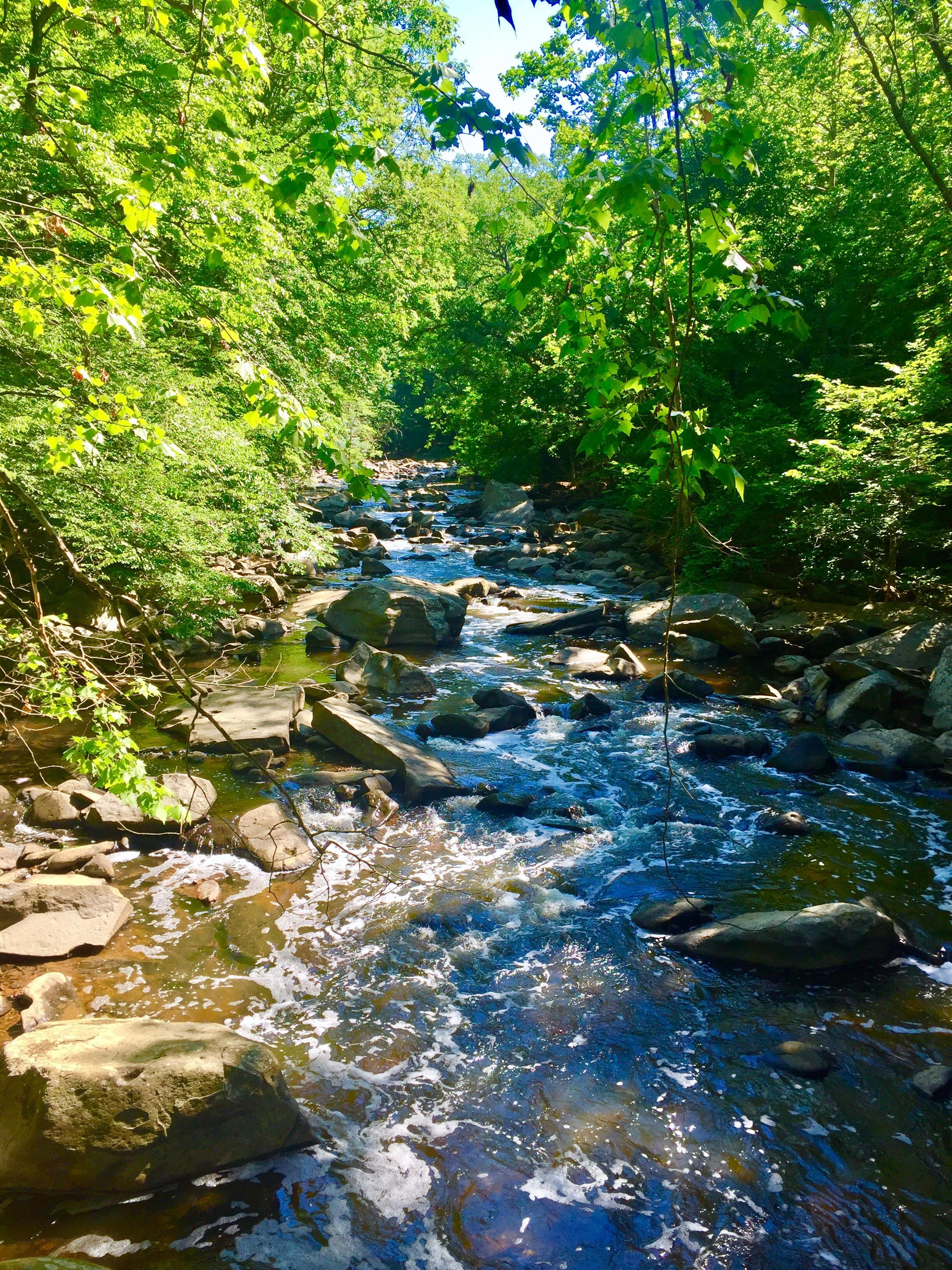 Rock Creek Park, District of Columbia, US [3264x2448] r/EarthPorn