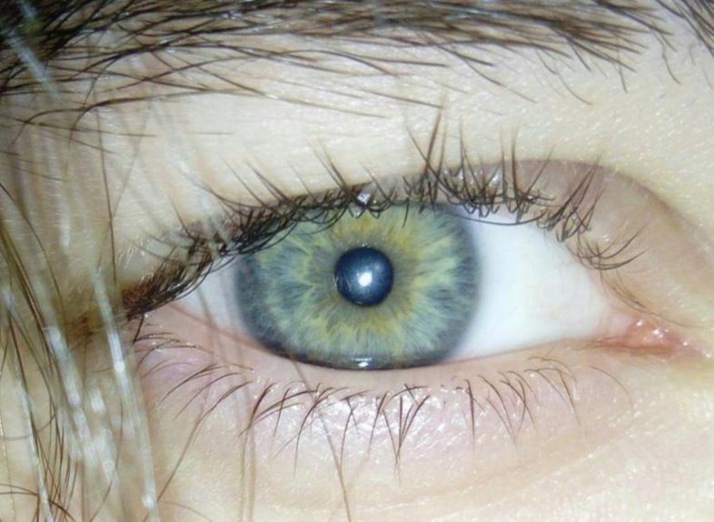 Blue Green eyes 🇫🇮 r/eyes