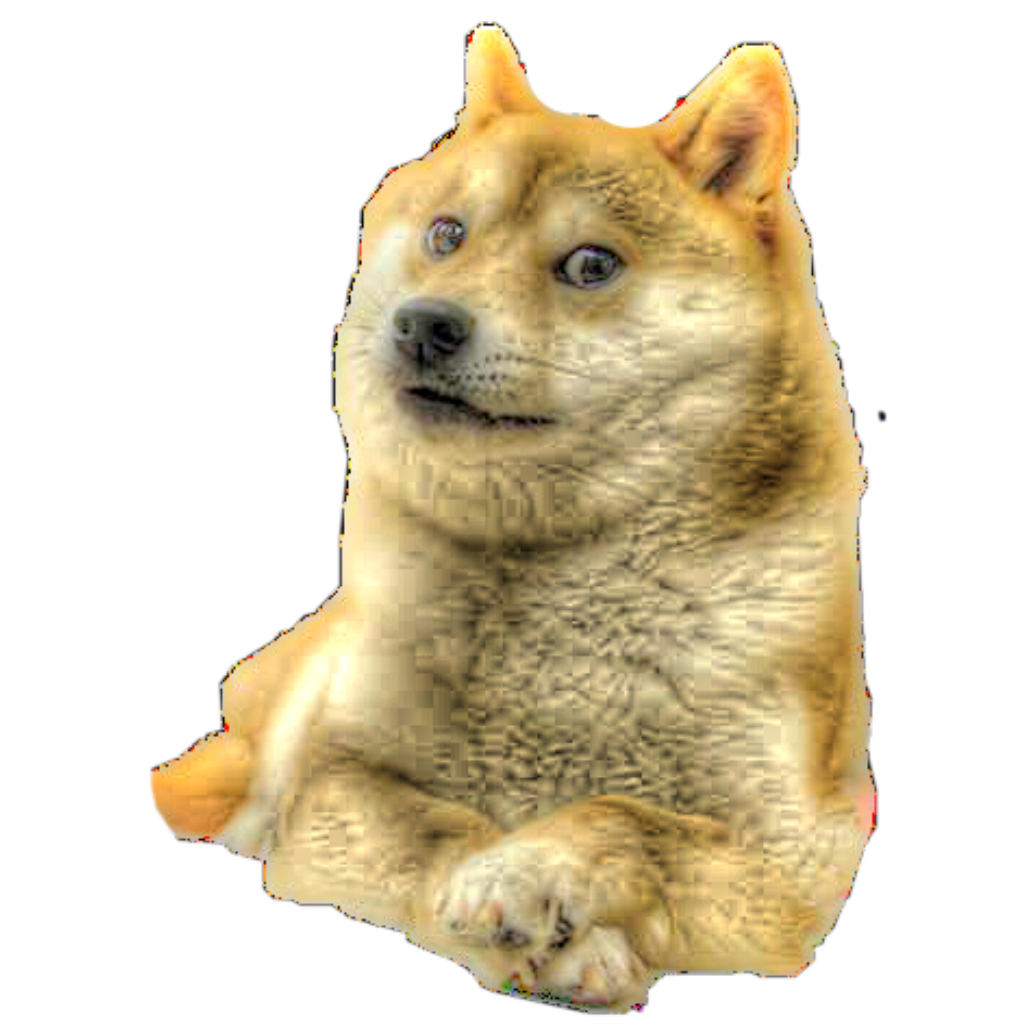 F L U F F Y doge PNG dogelore