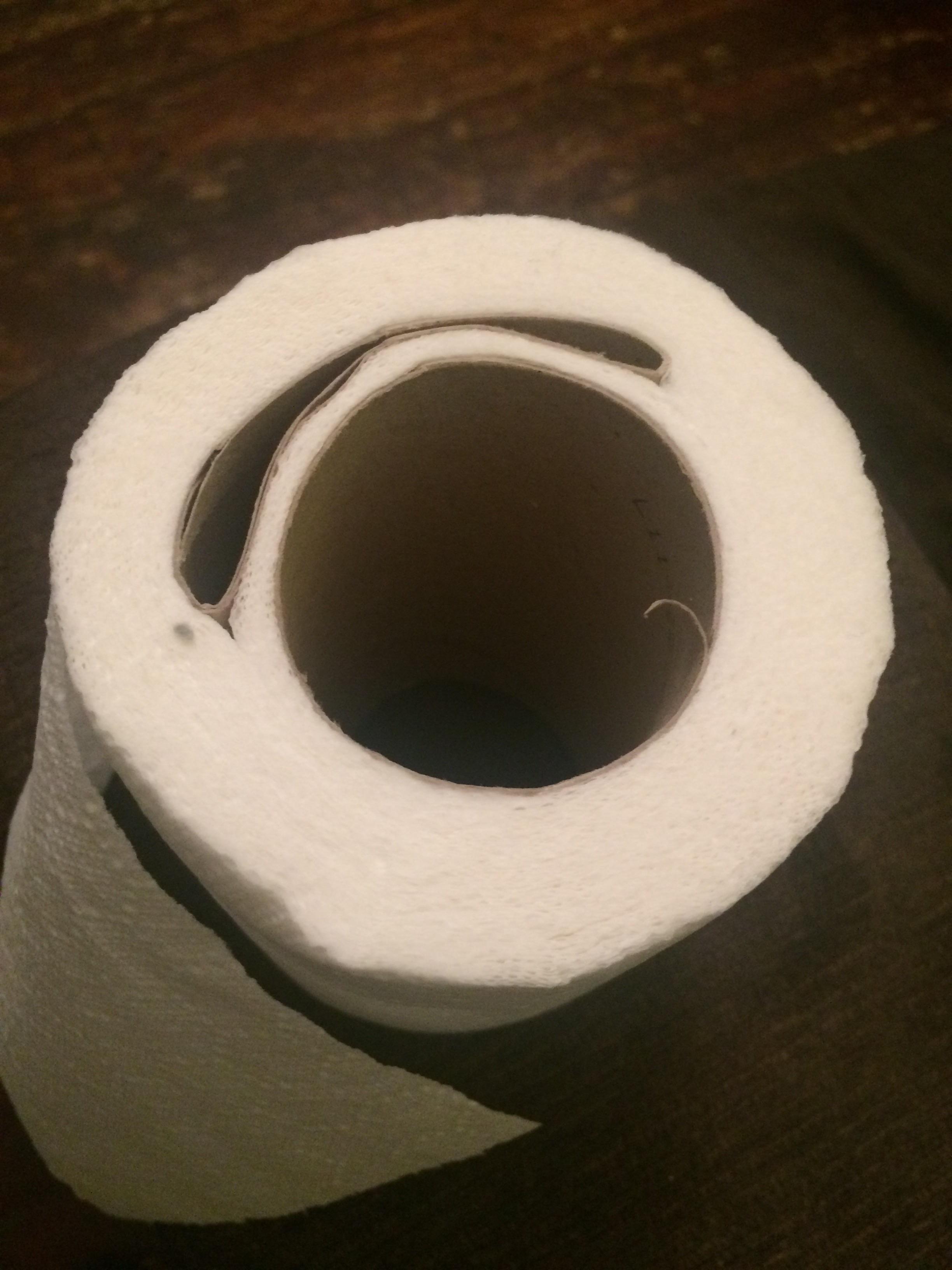 This toilet roll has a second cardboard tube stuck in it r