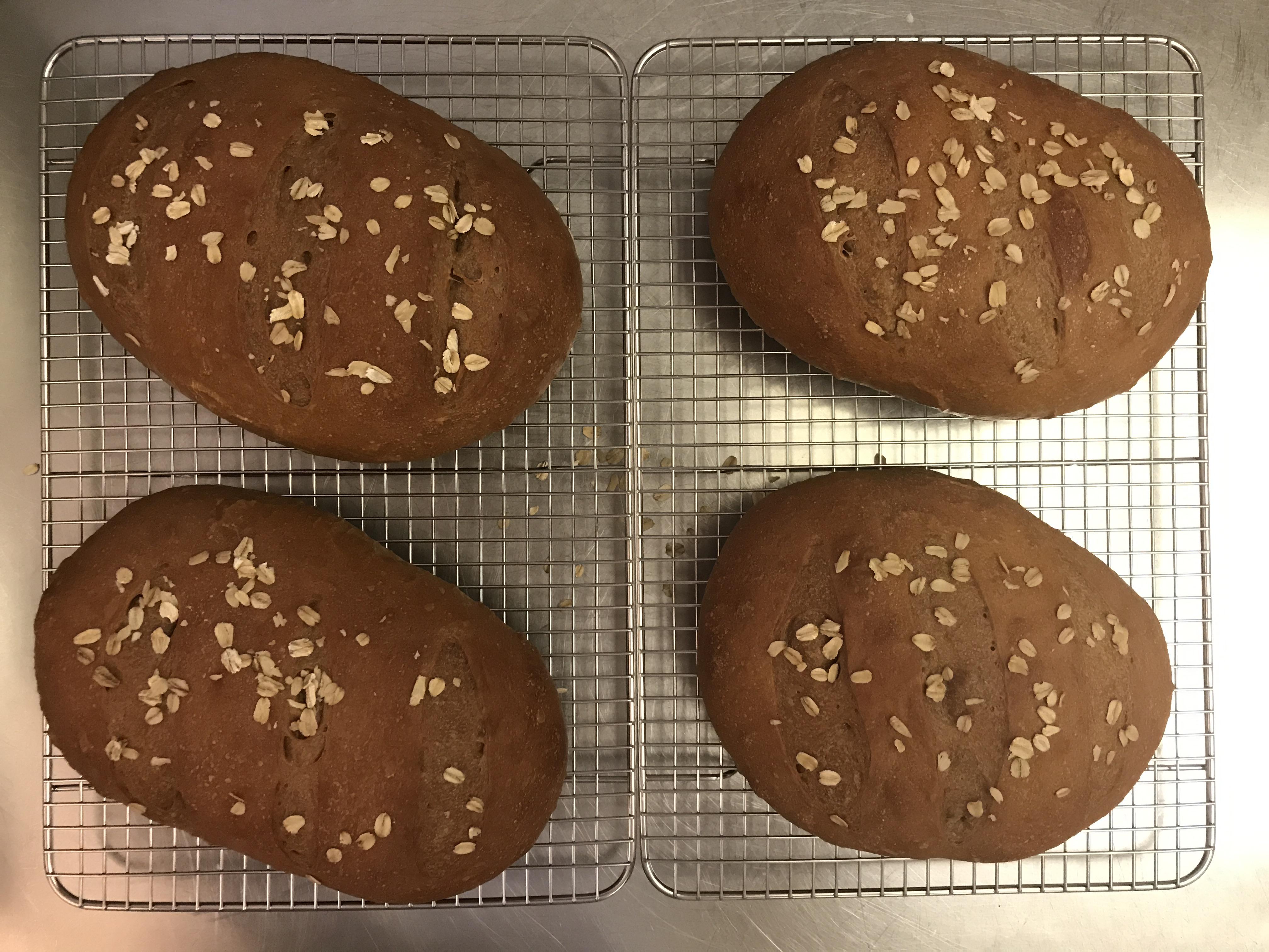 This morning’s batch of sweet molasses brown bread r/Breadit