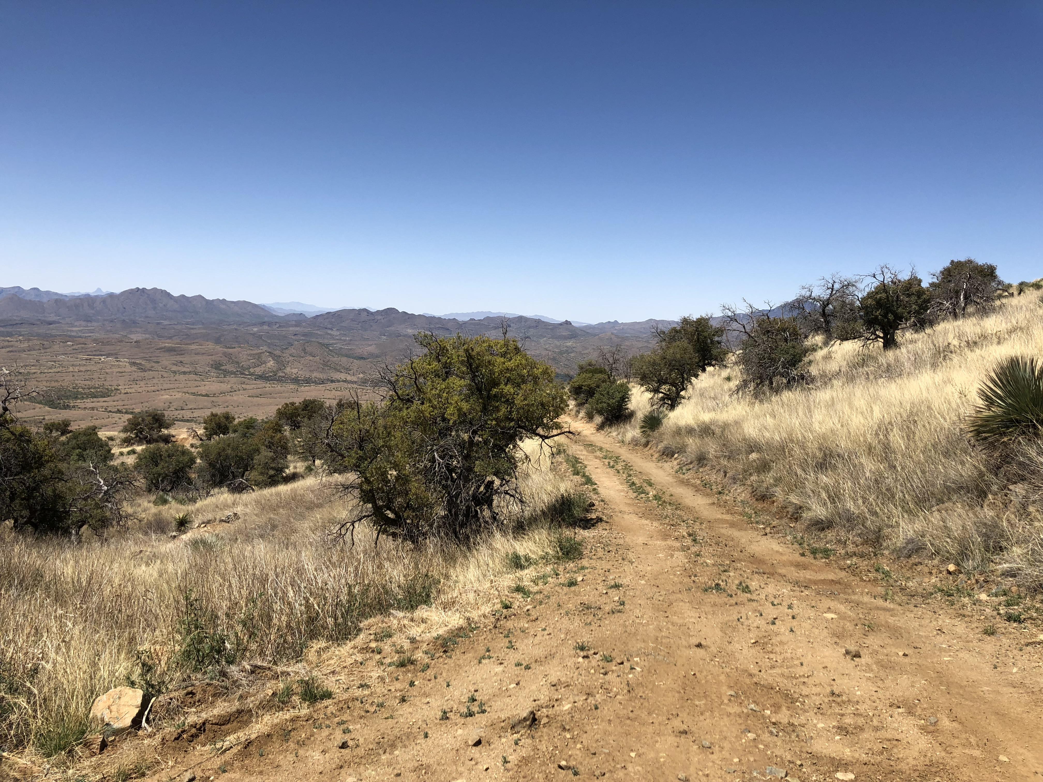 Road less traveled, Patagonia AZ. r/arizona