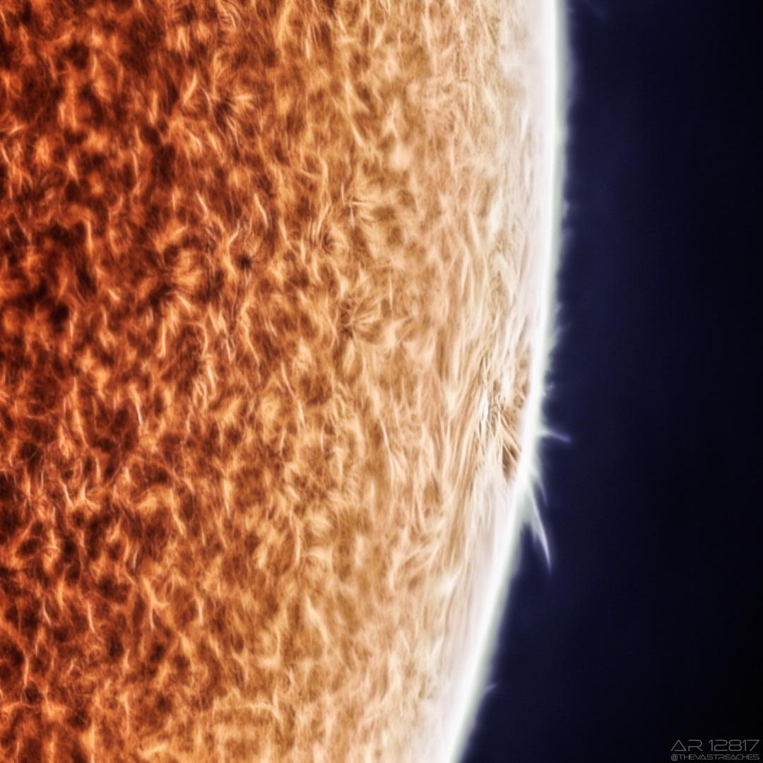 1049 best Spewing images on Pholder | Interestingasfuck, Political