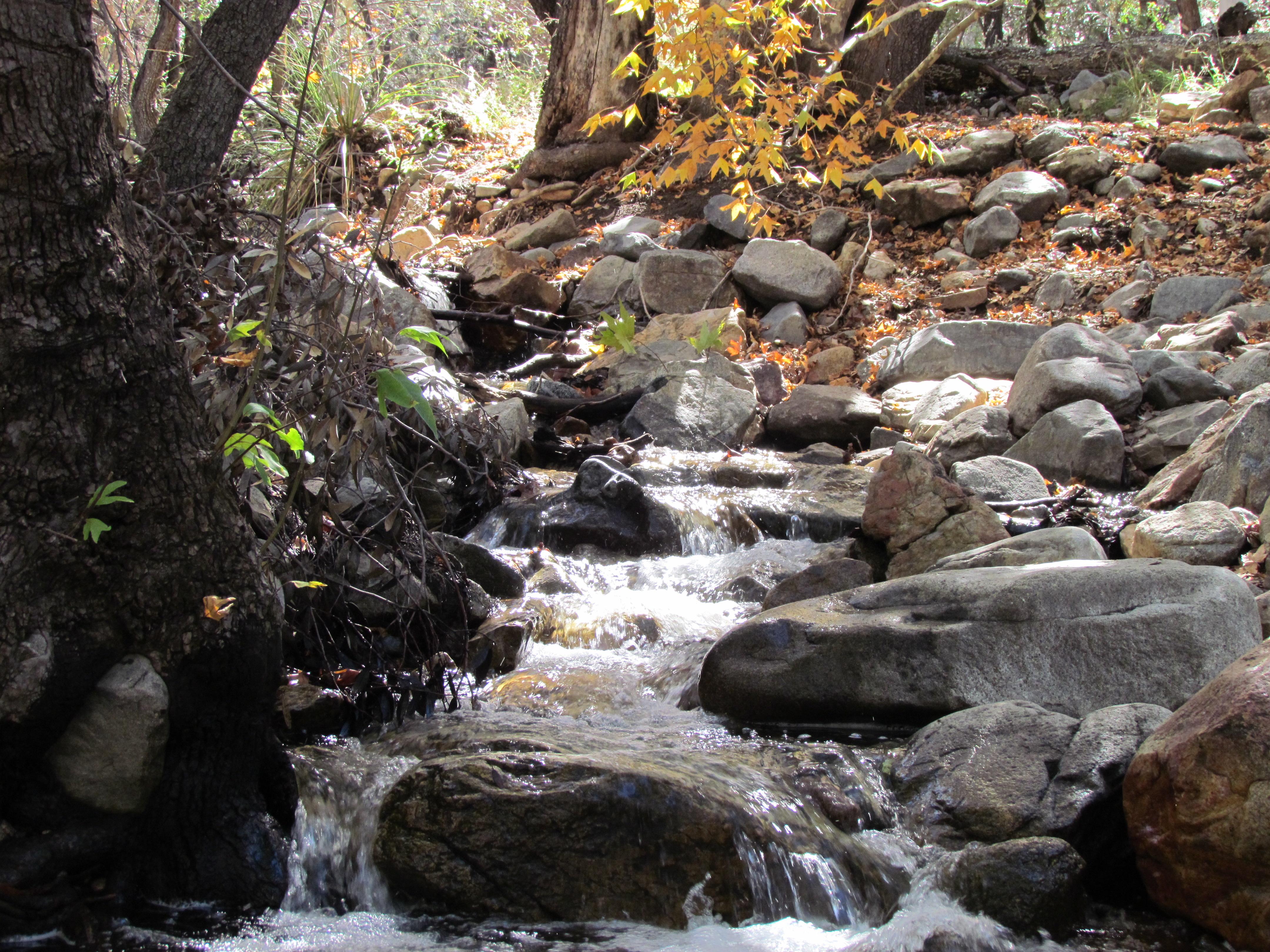 Madera Canyon 45 min south of downtown Tucson, AZ [4320x3240] r/EarthPorn