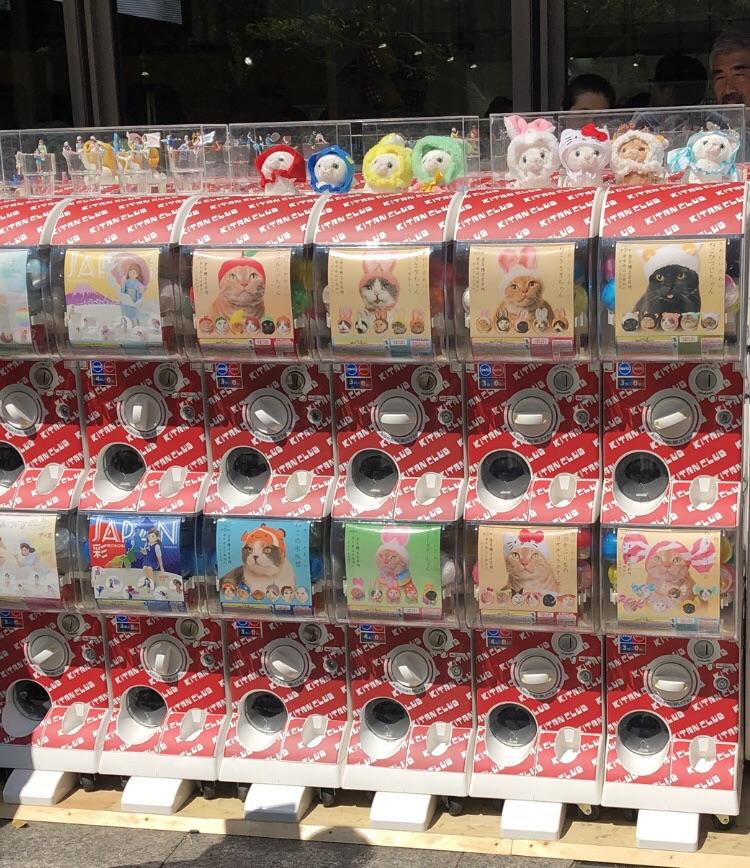 Cat hat vending machine in Tokyo r/funny