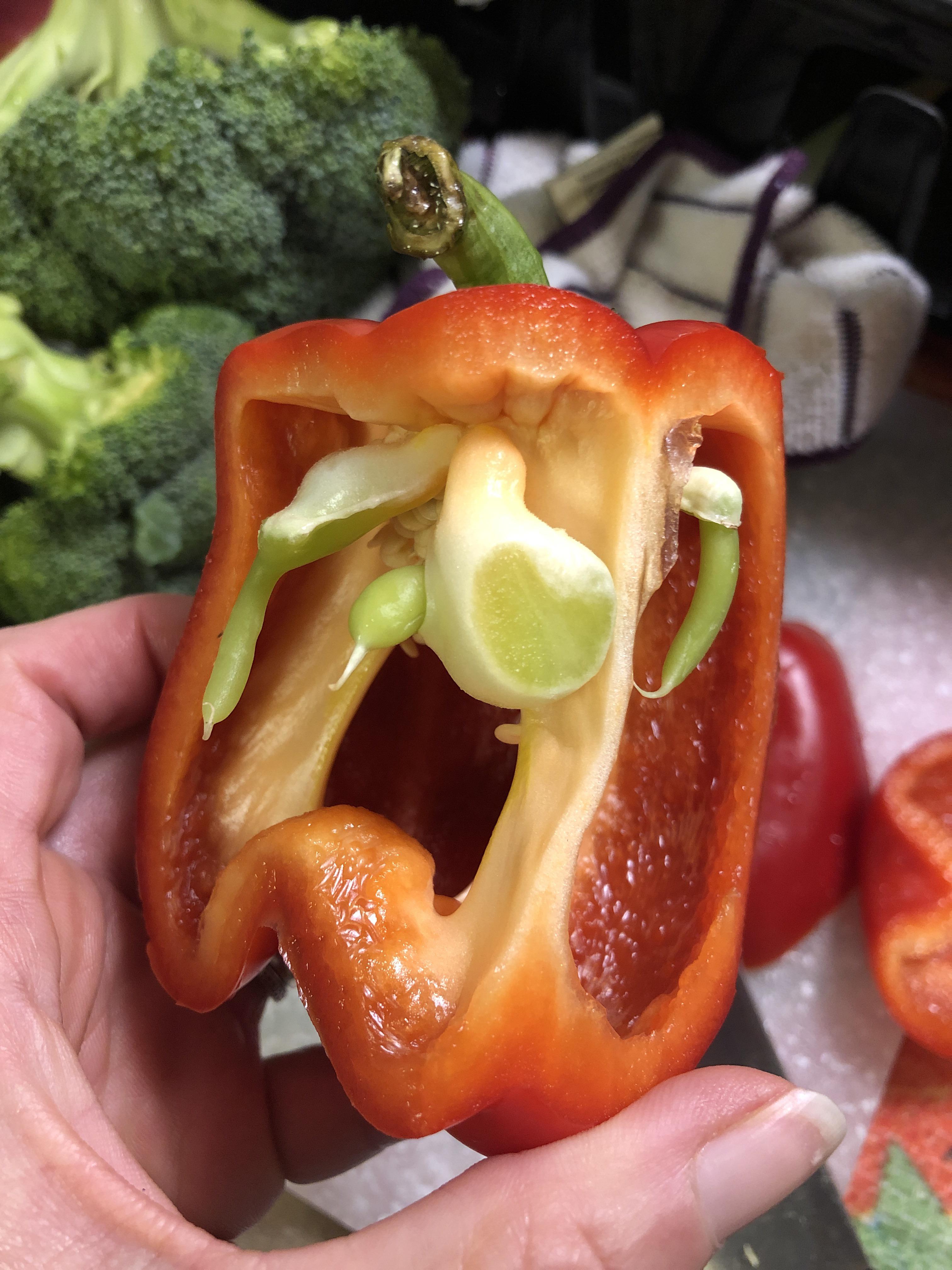 3 peppers growing inside a red pepper r/mildlyinteresting
