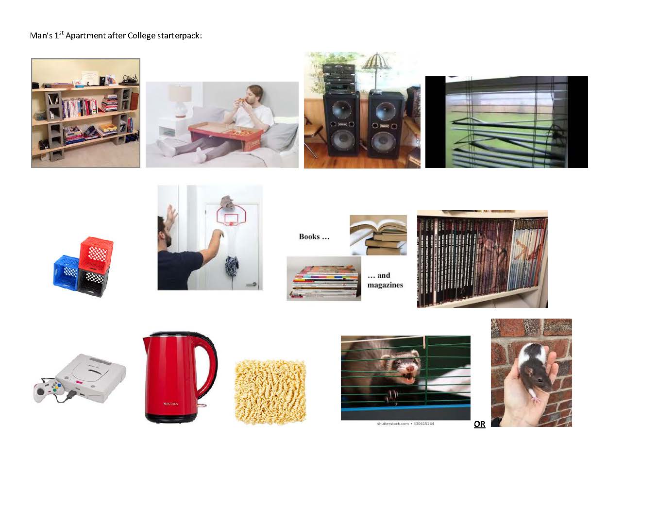 Man's 1st Apartment after College starterpack r/starterpacks