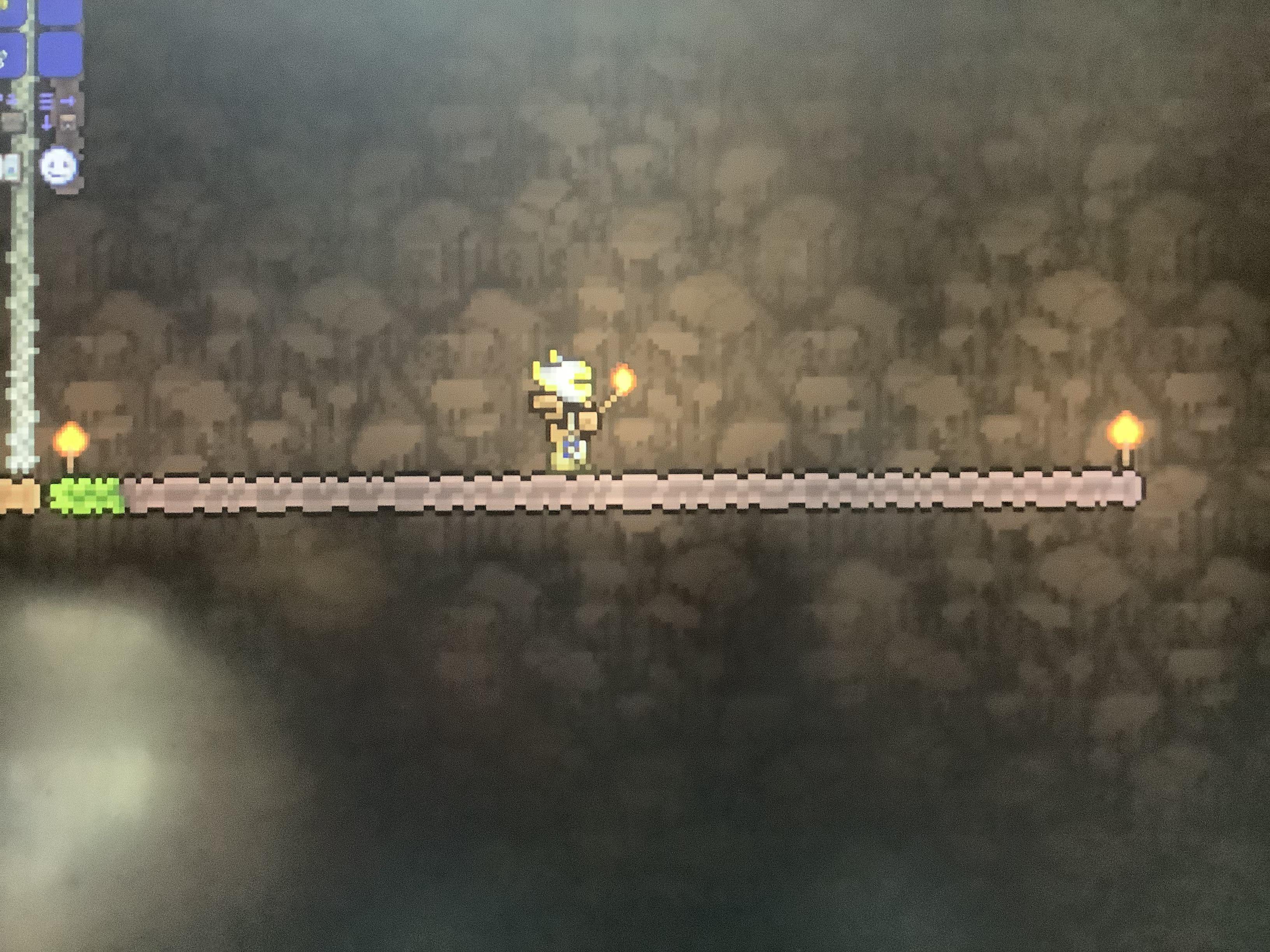 I Made A Underground Jungle. When The Grass Finishes Growing, when I